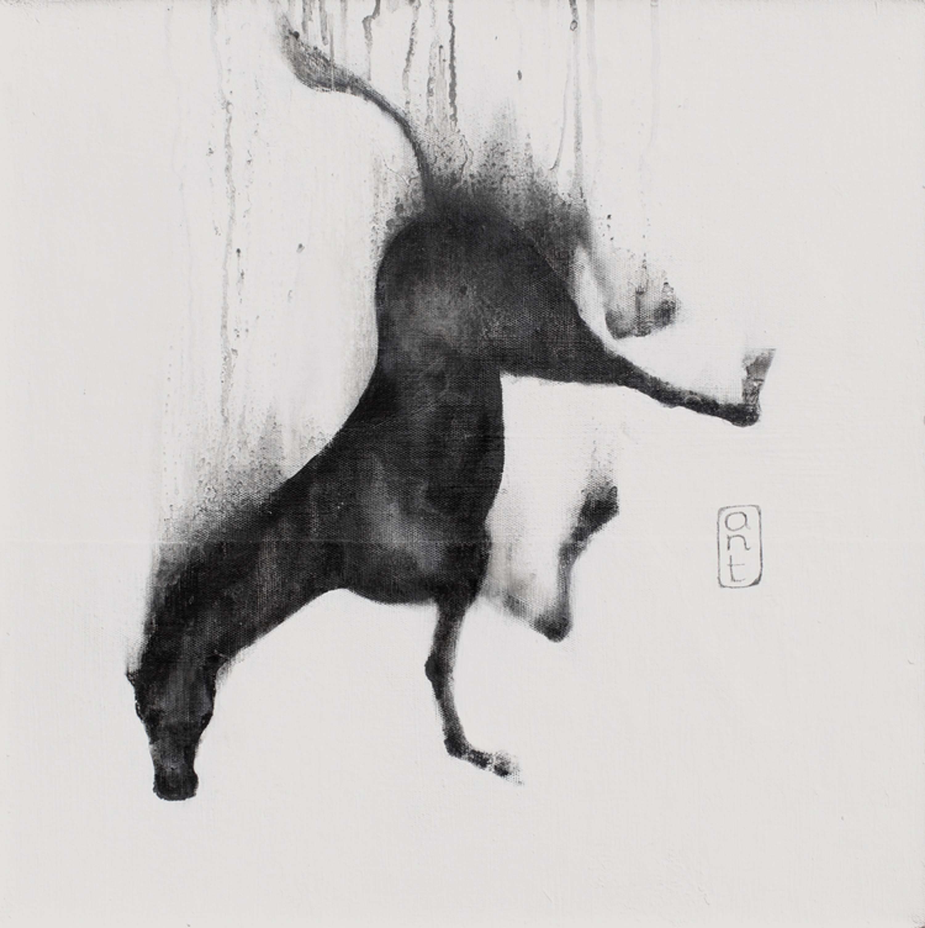 Falling Horses by Kieran Antill