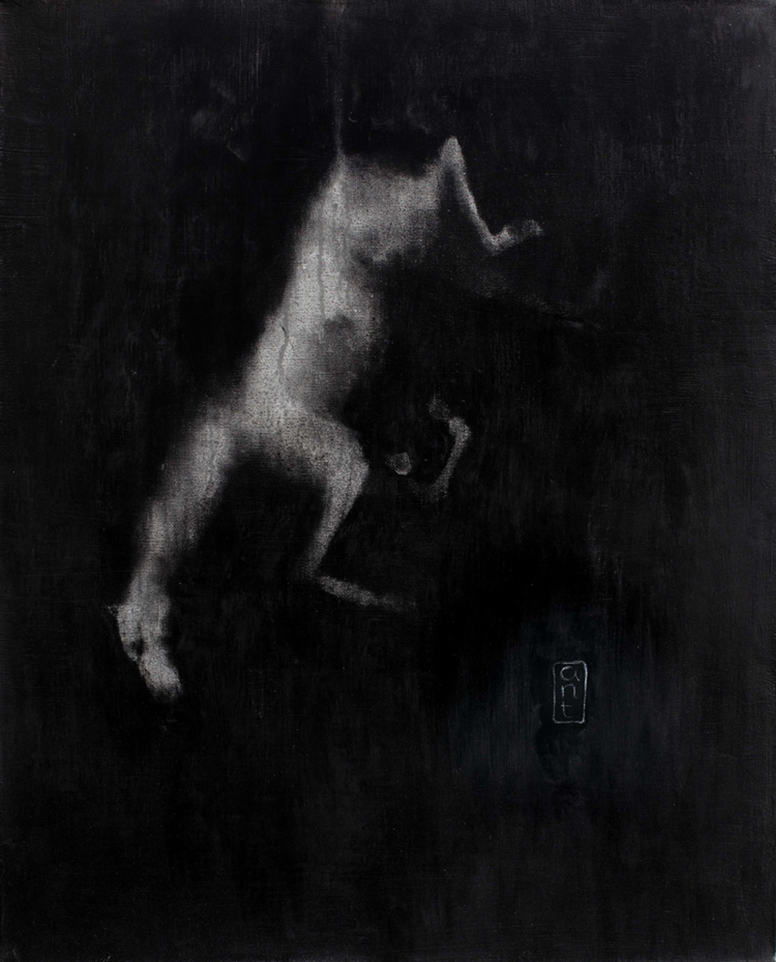 Falling Horses by Kieran Antill