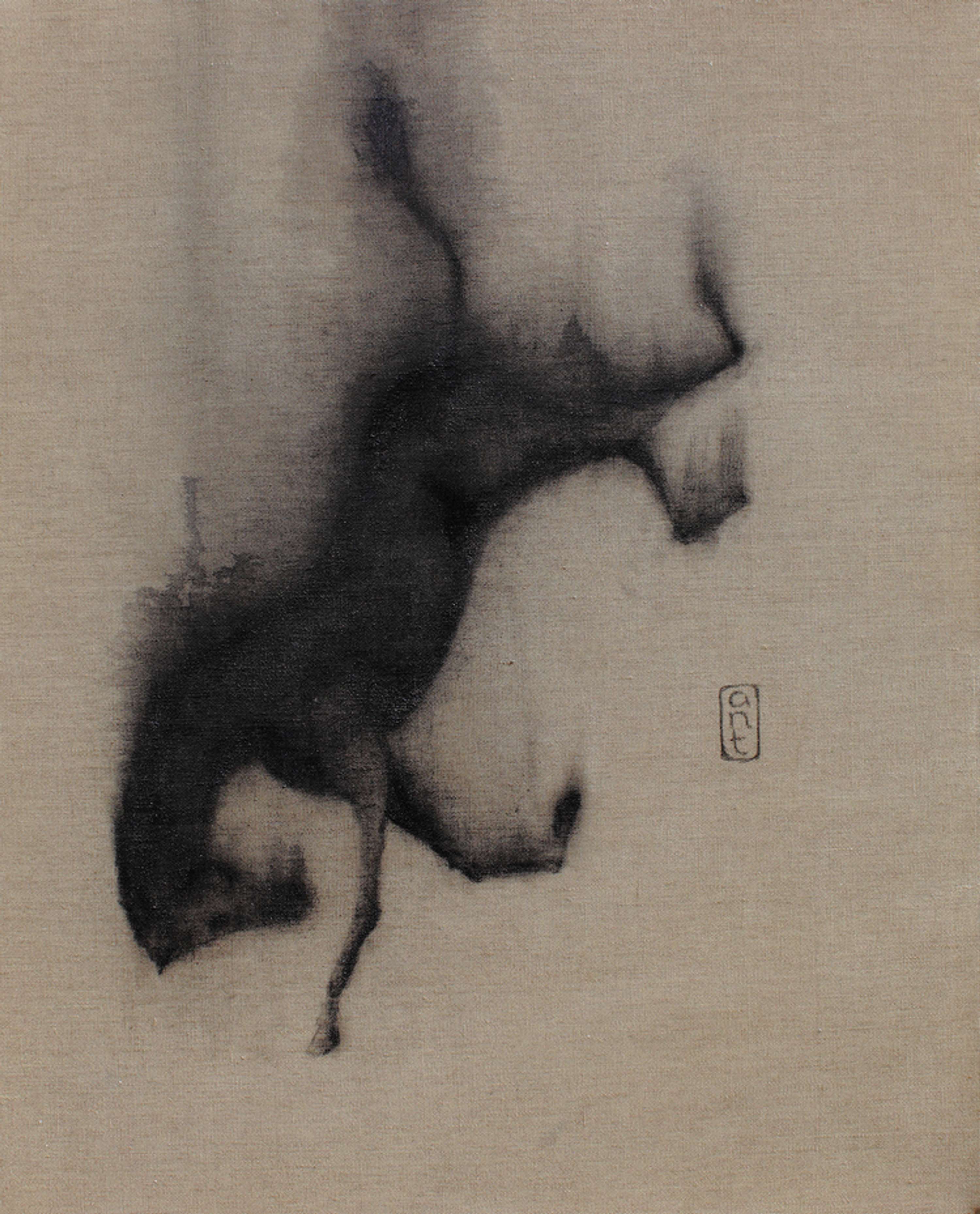 Falling Horses by Kieran Antill