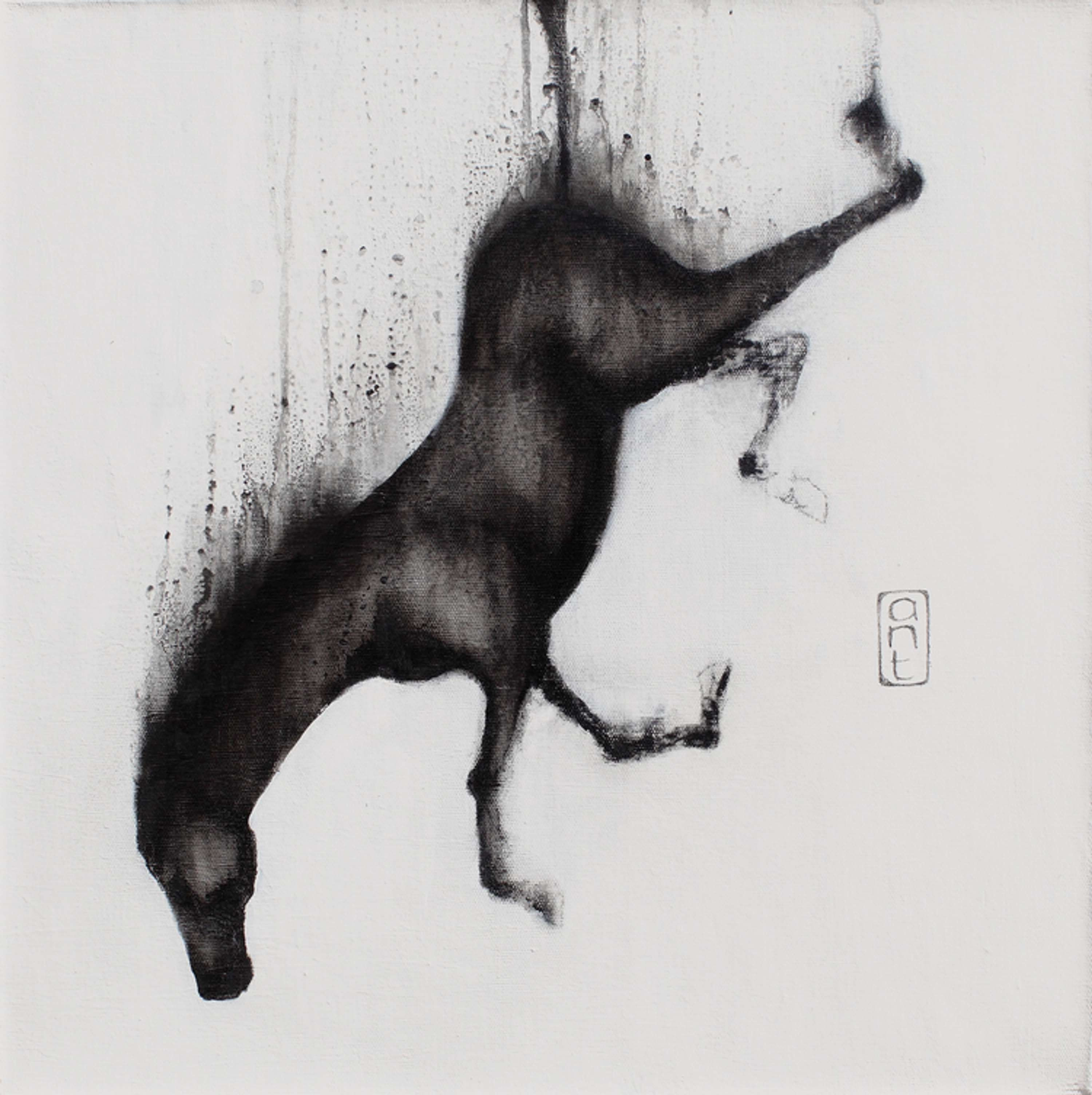 Falling Horses by Kieran Antill