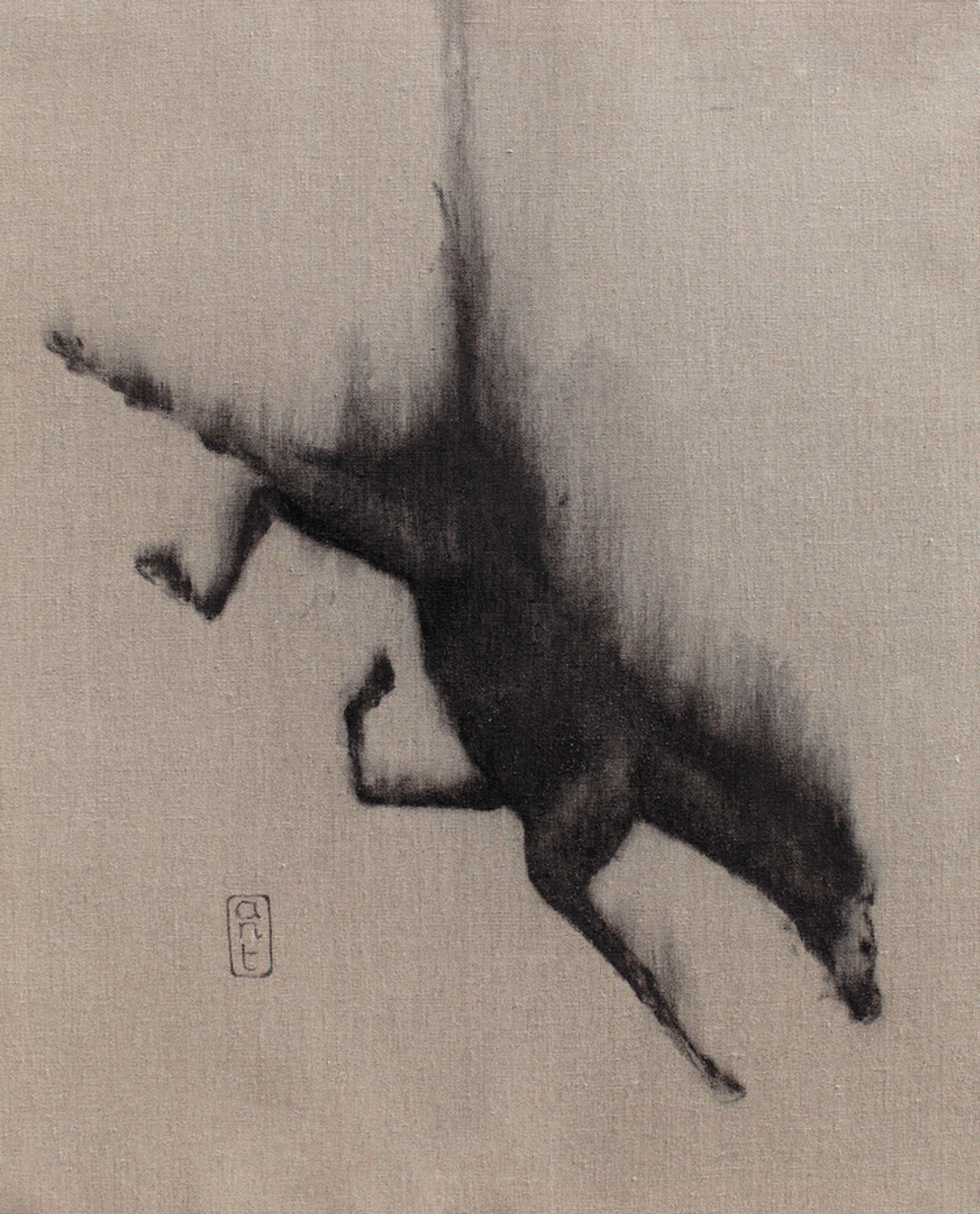 Falling Horses by Kieran Antill