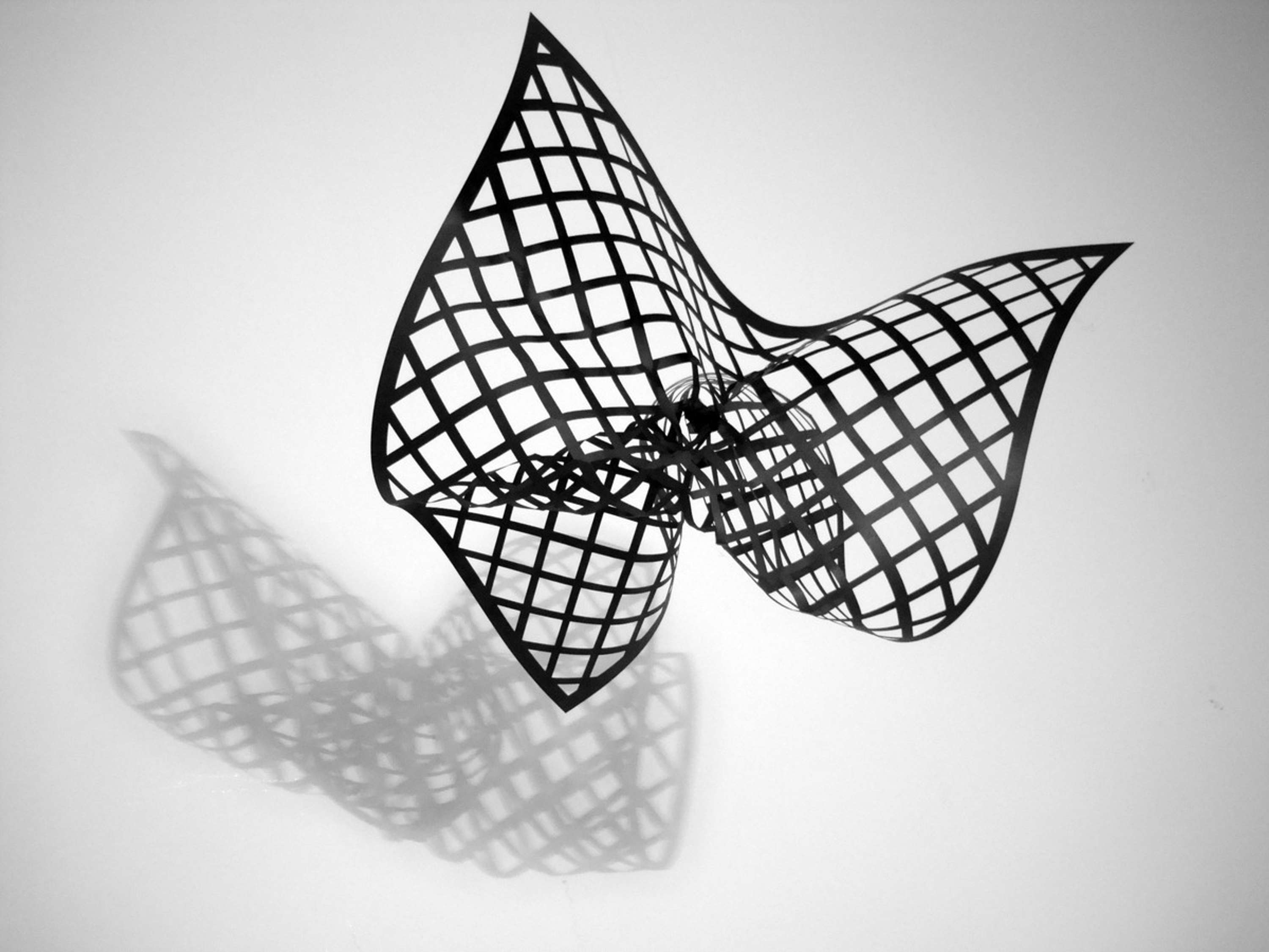 Connections by Mariana Fabris