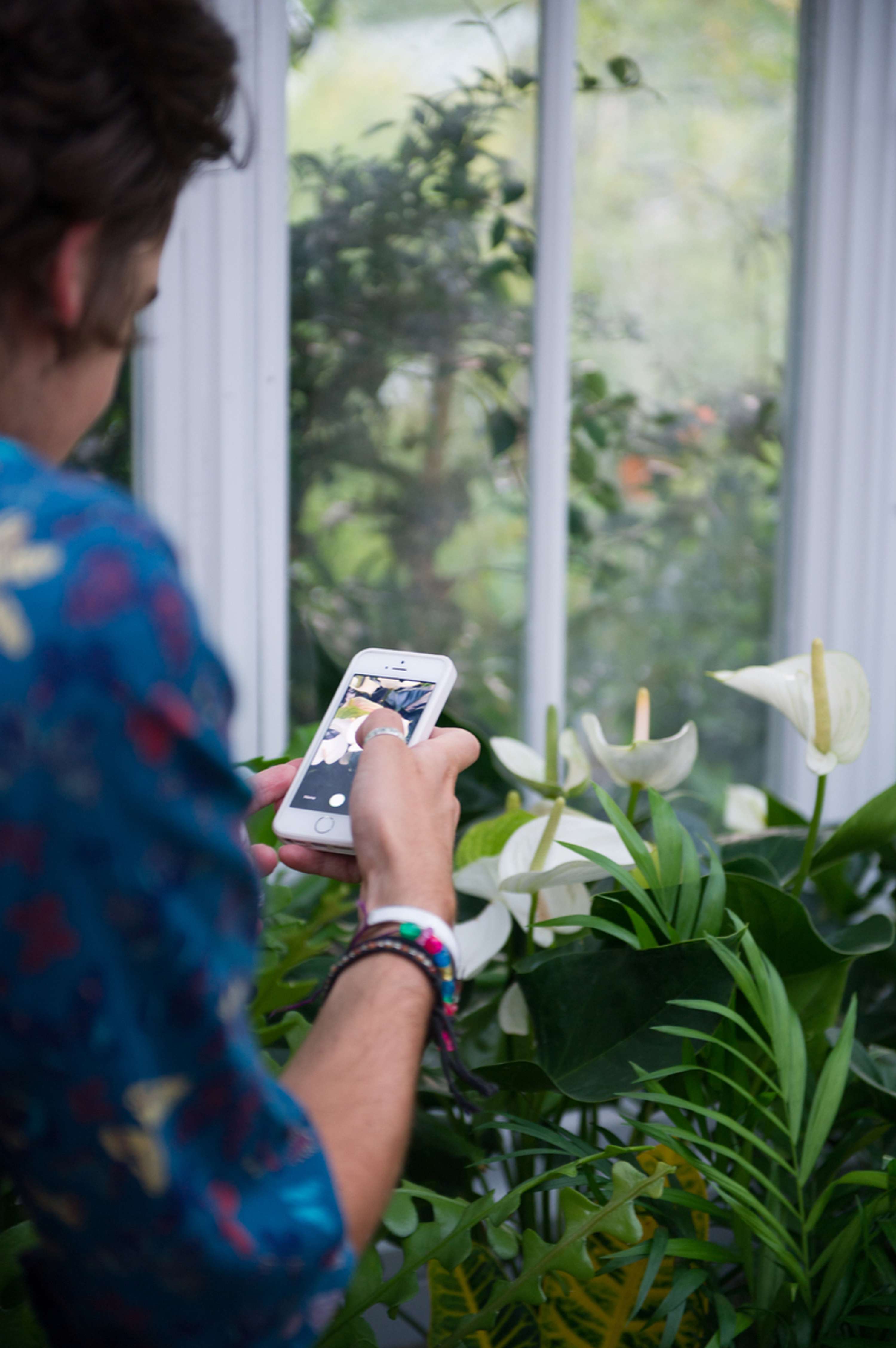 Plantsnapp App Launch by Jack Henshall