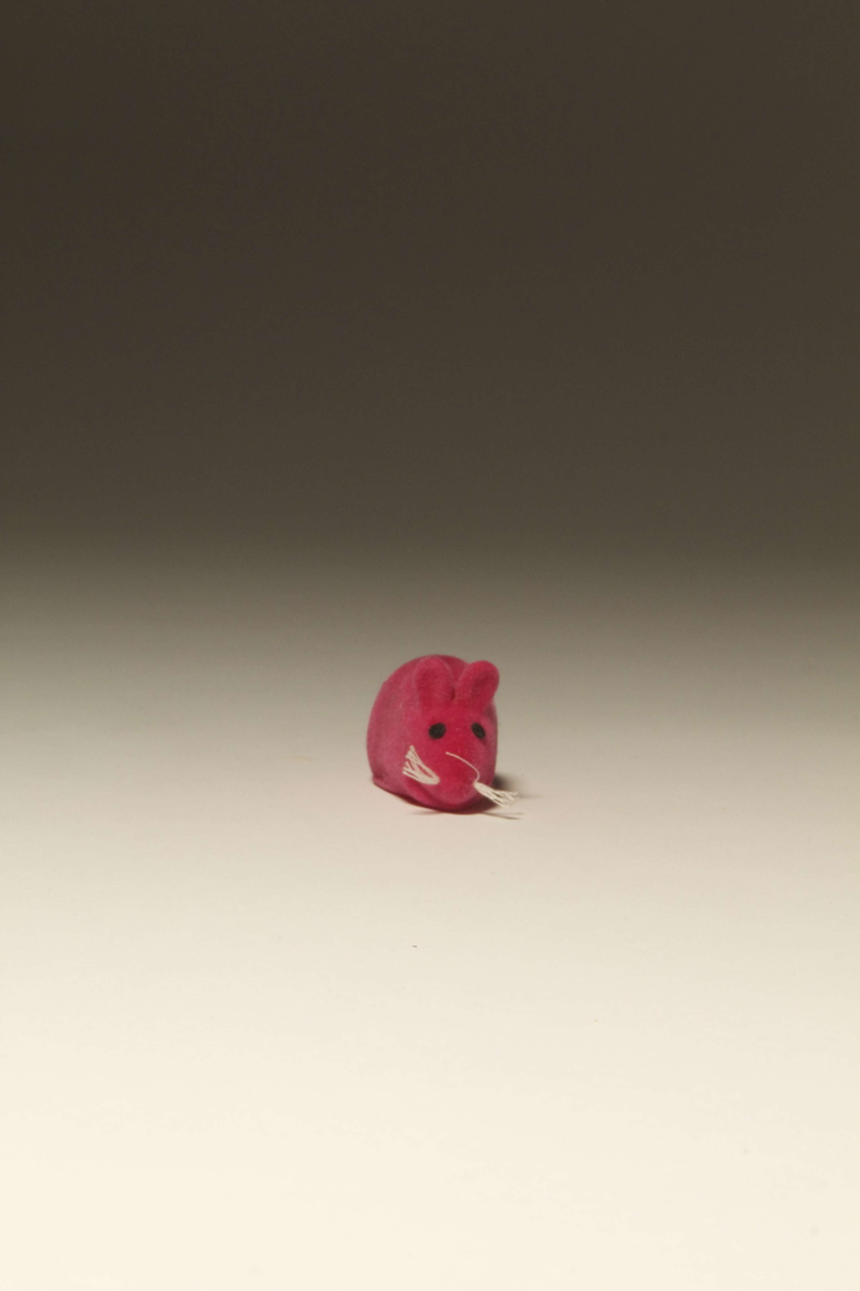 Objects by Teija Williams