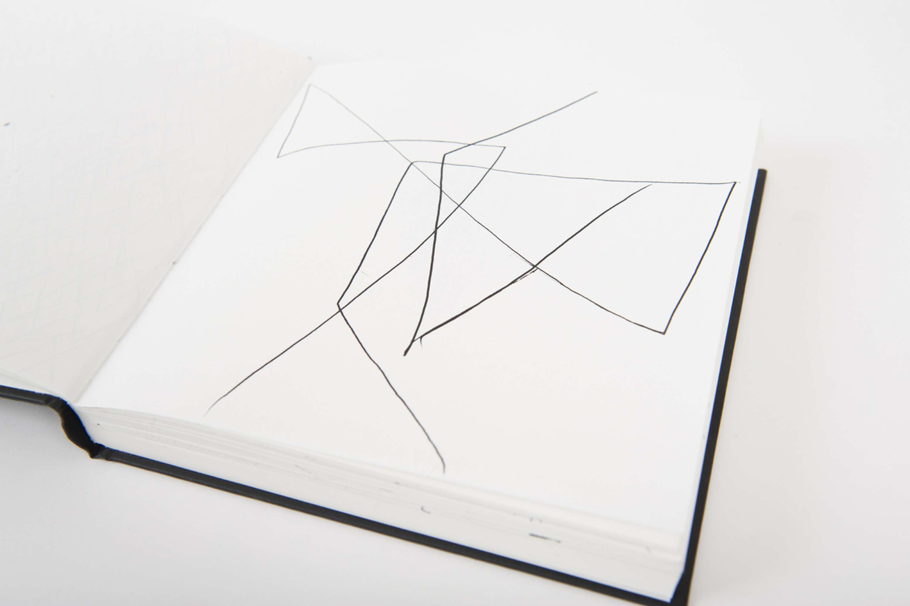 Drawing Skills - Botanical by Lydia Matthews