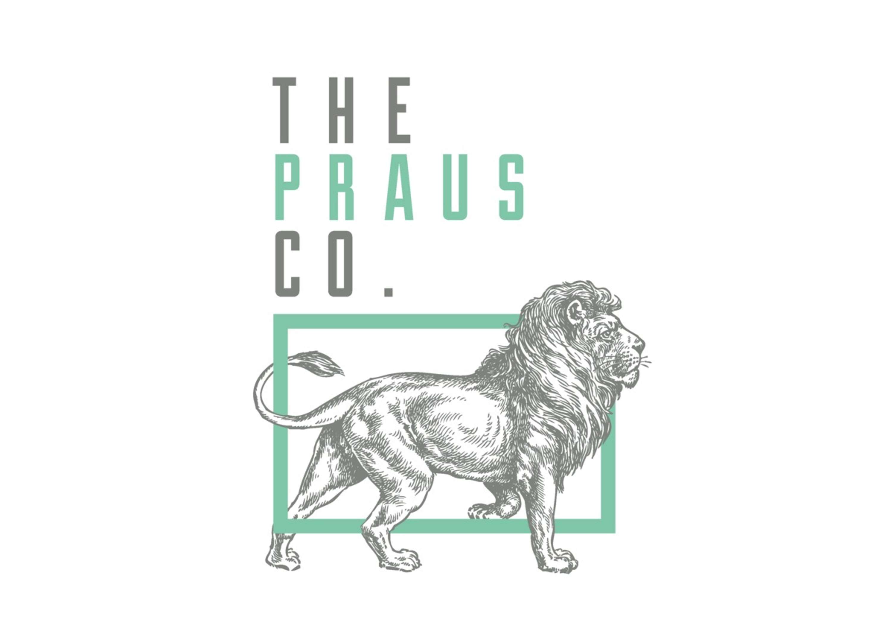 Logo and Branding by Callum Taylor