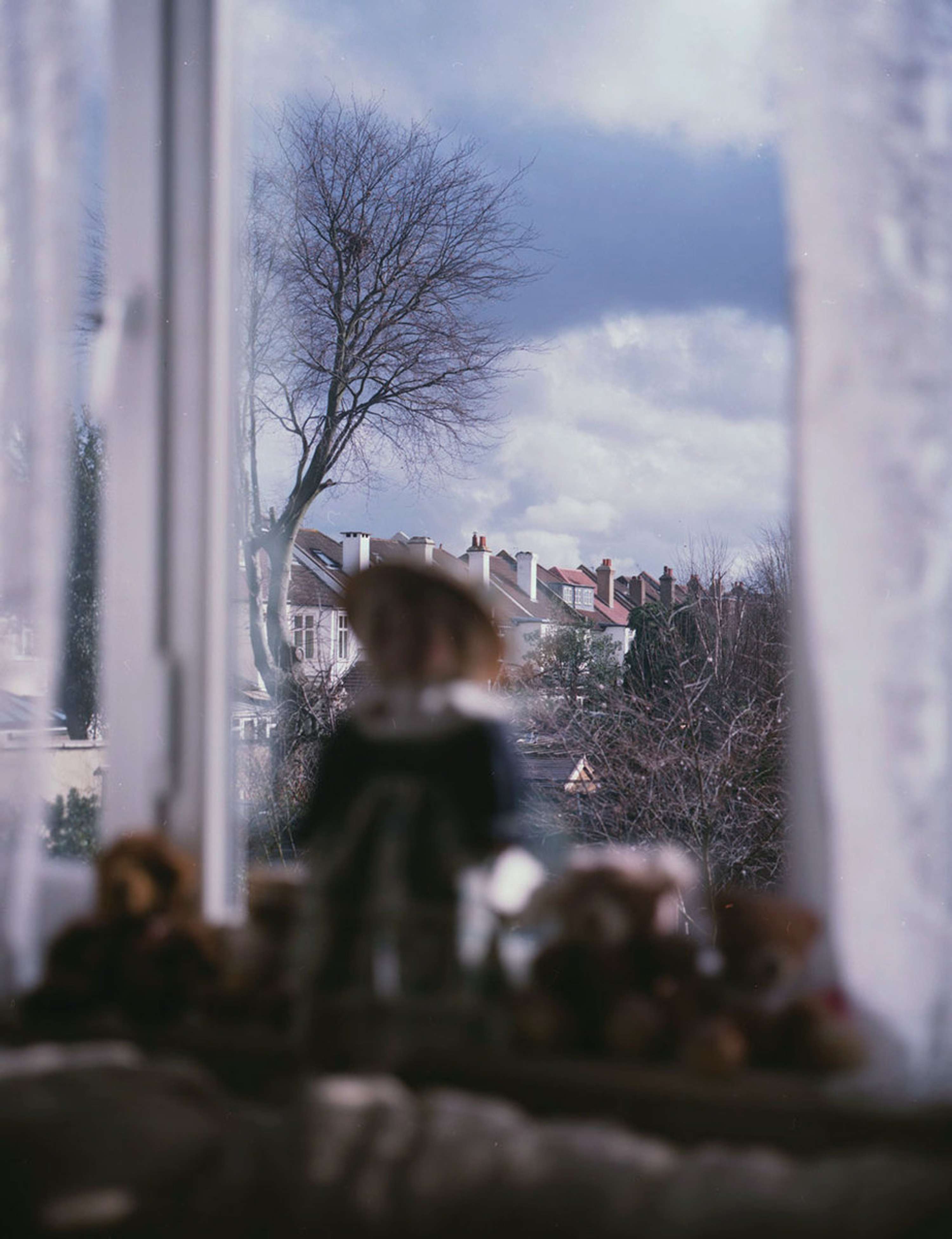 Tea With Mr Gibson by Olga Lipska