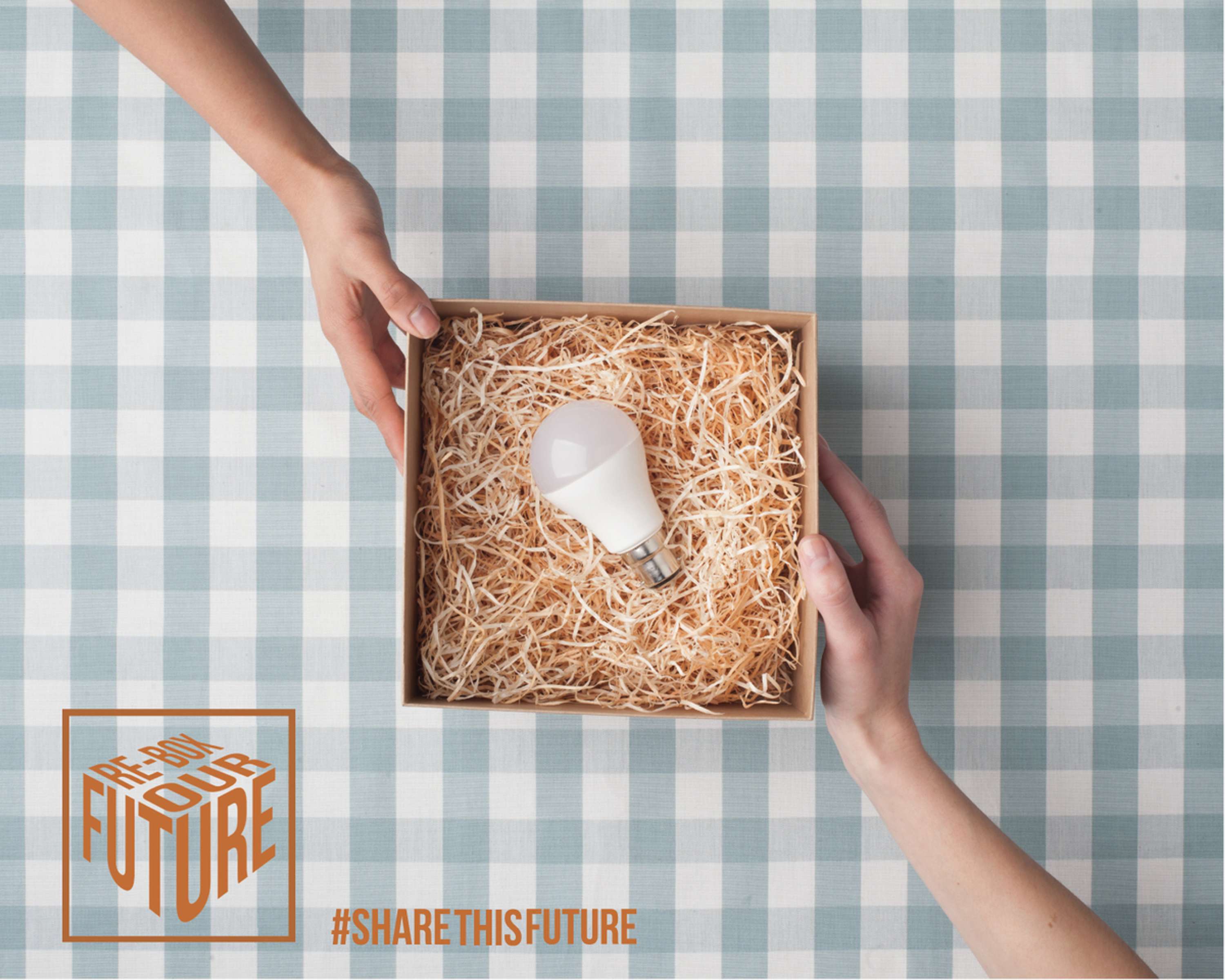 Re-Box Our Future by Opal Turner