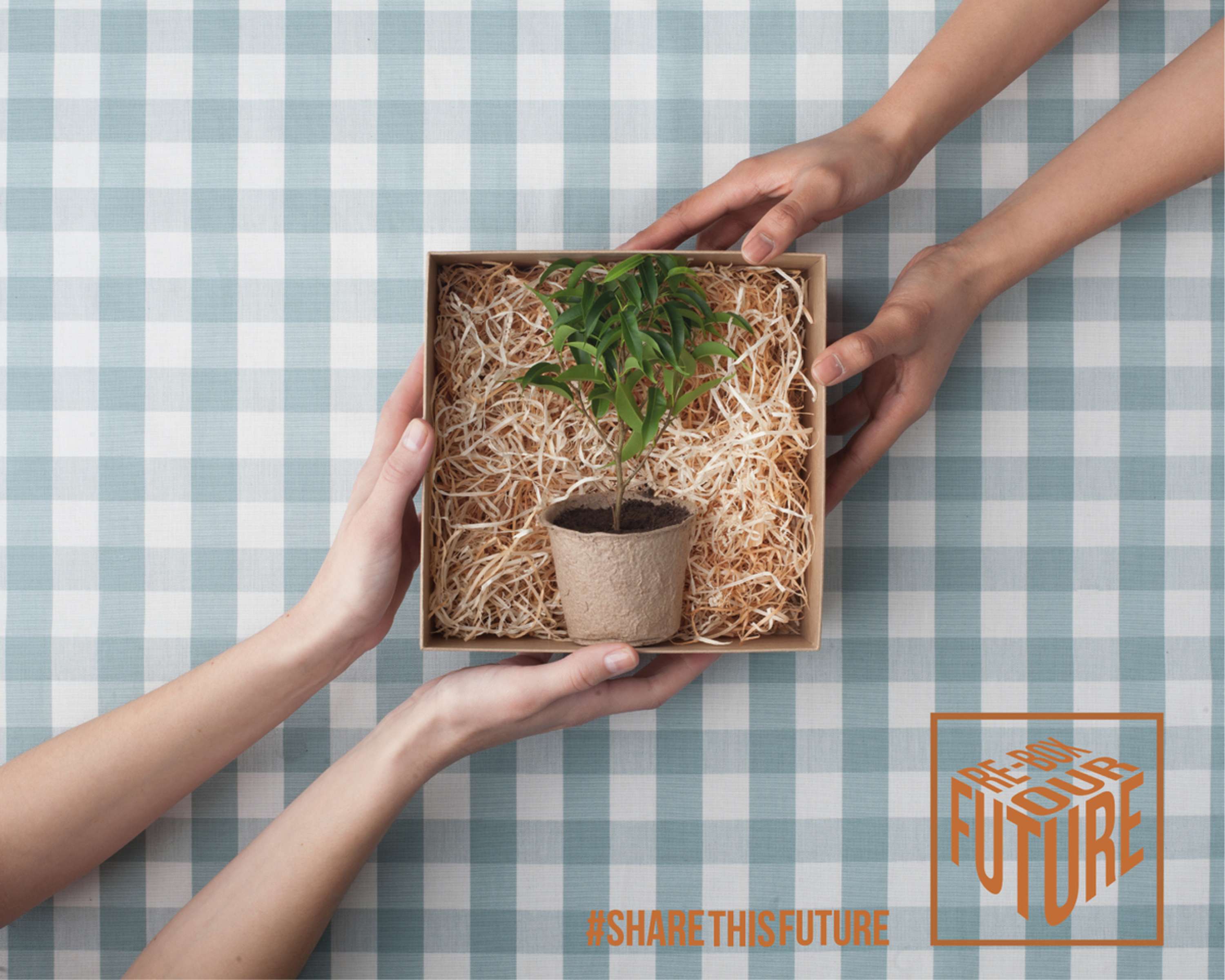 Re-Box Our Future by Opal Turner
