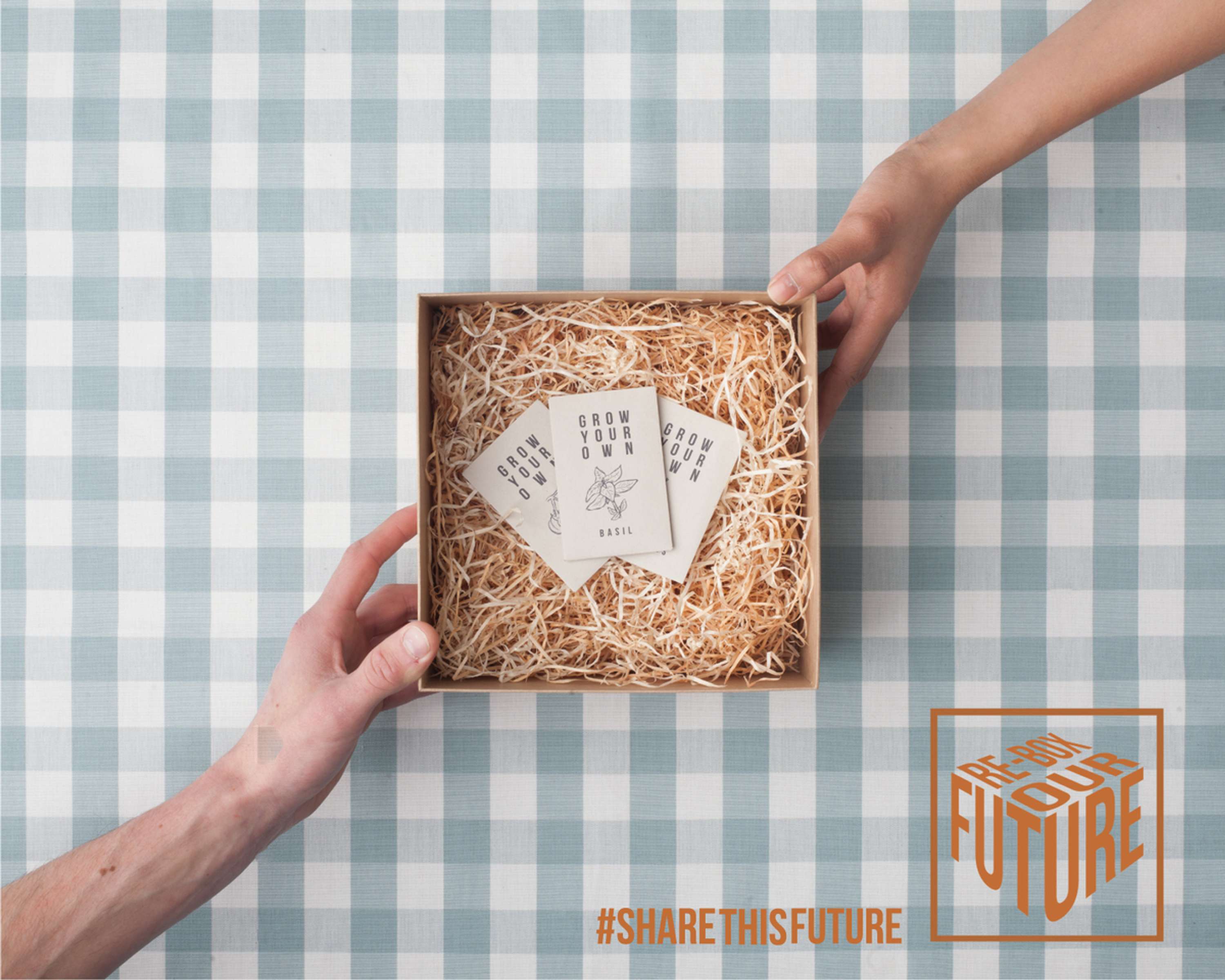 Re-Box Our Future by Opal Turner