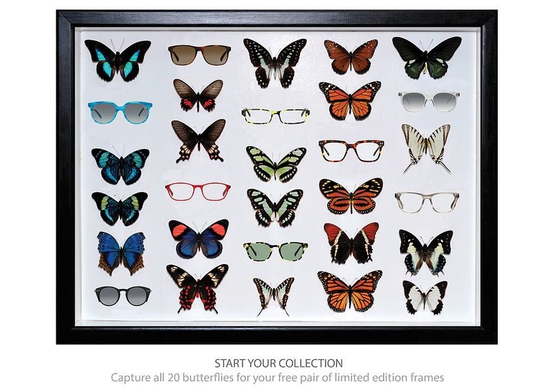 Bailey Nelson-Start Your Collection by Joshua Giles-Burnette