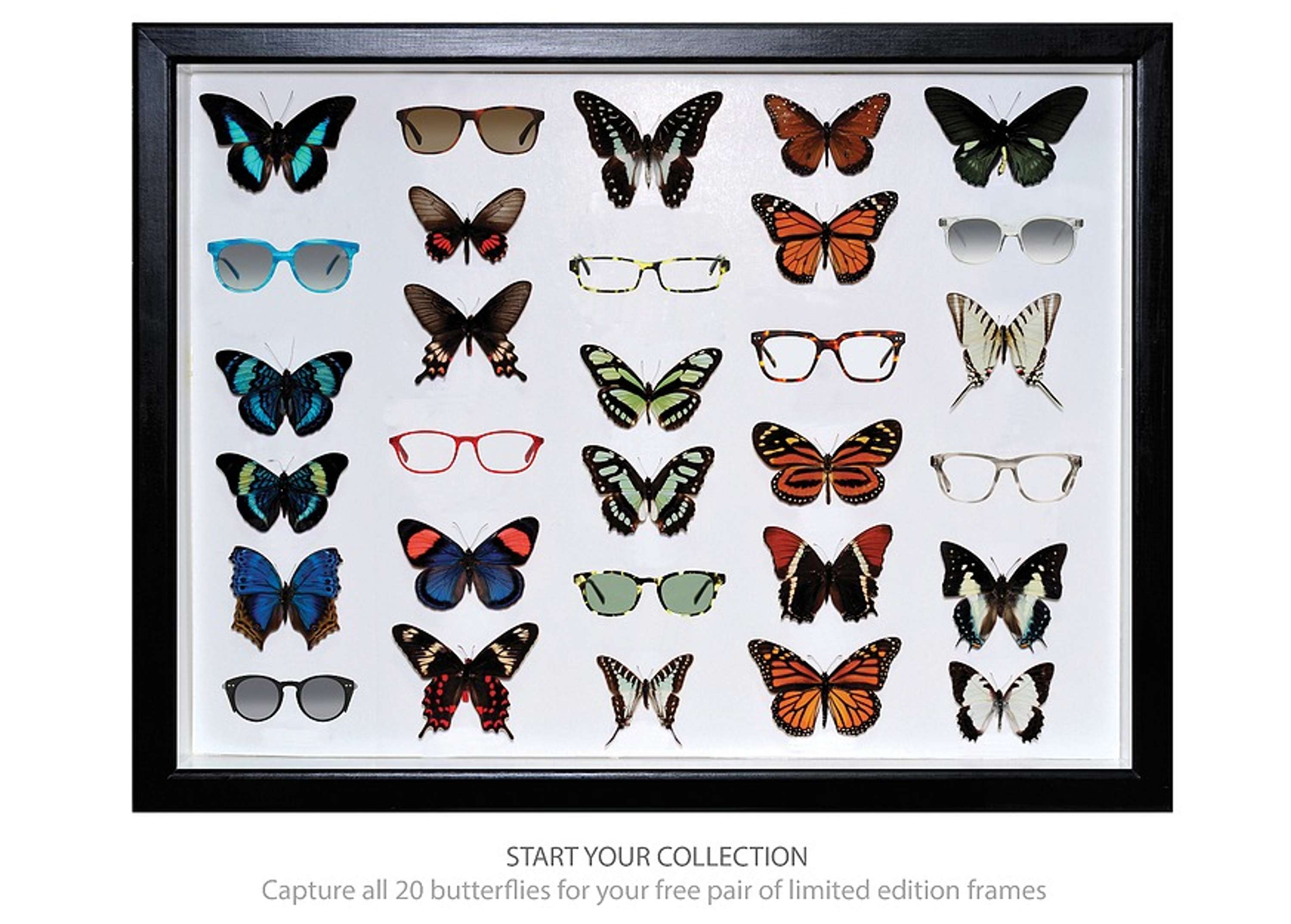 Bailey Nelson-Start Your Collection by Joshua Giles-Burnette