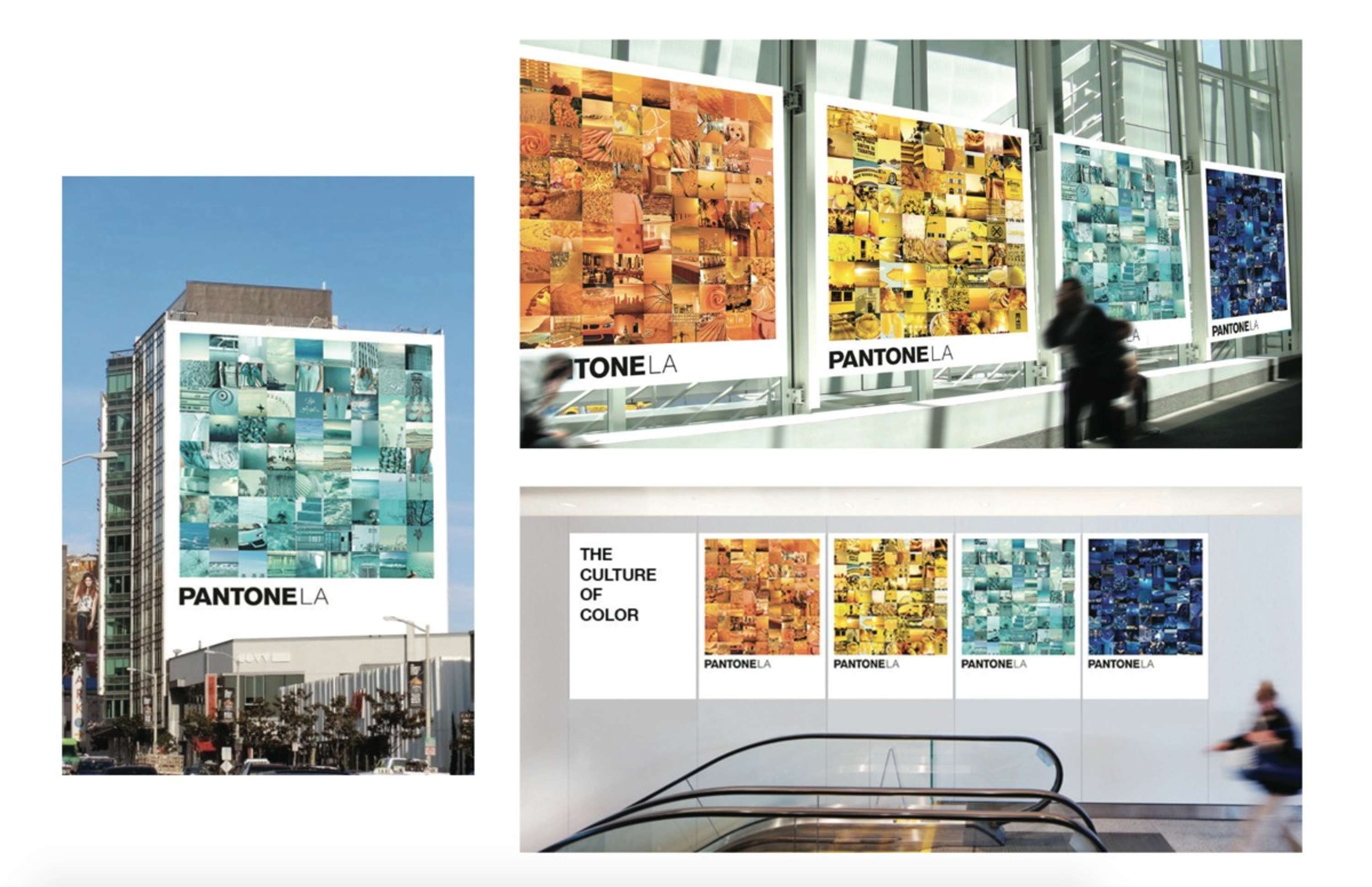 Pantone by Daniel Kim