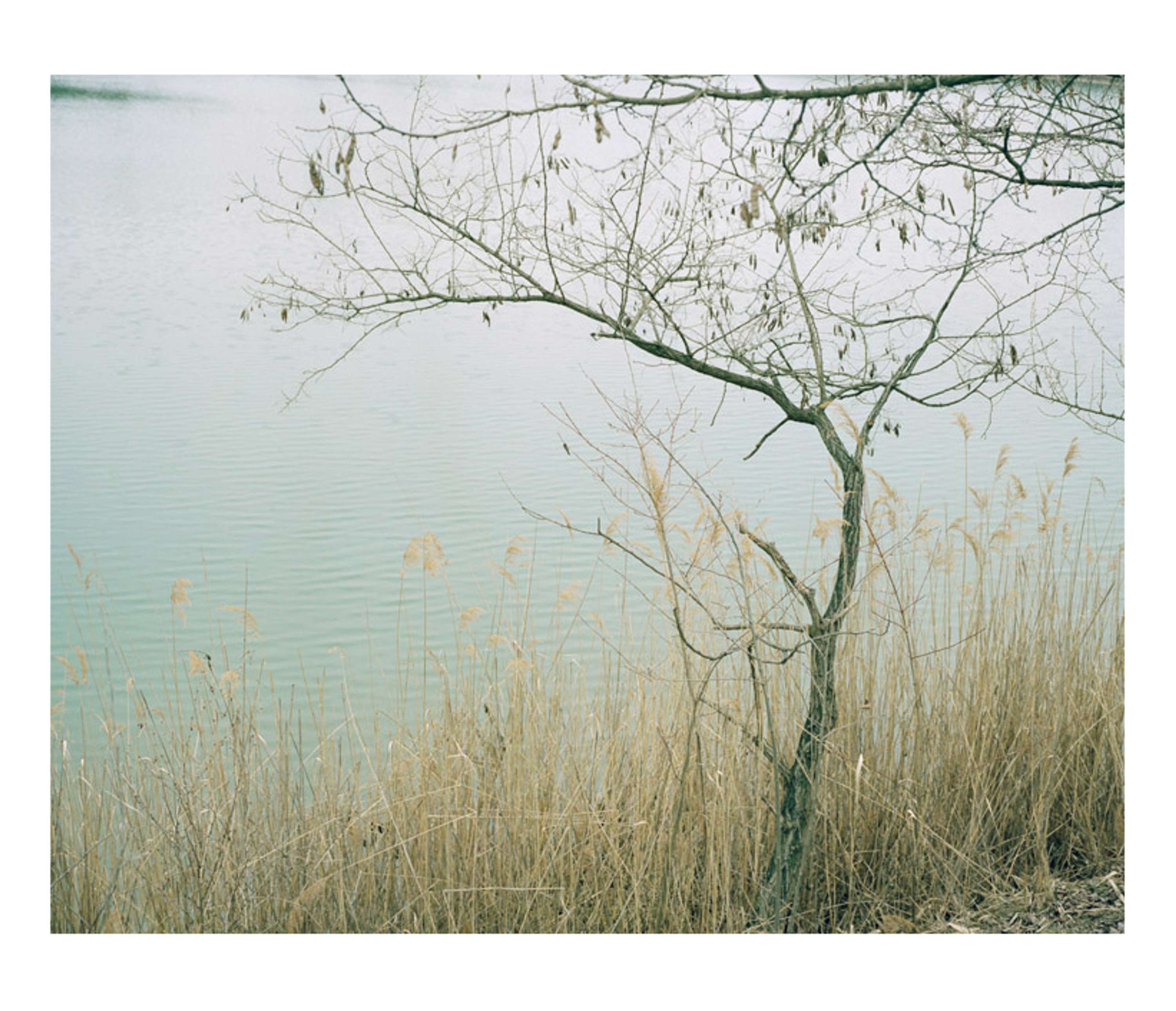 Present Memories by Tereza Cervenova