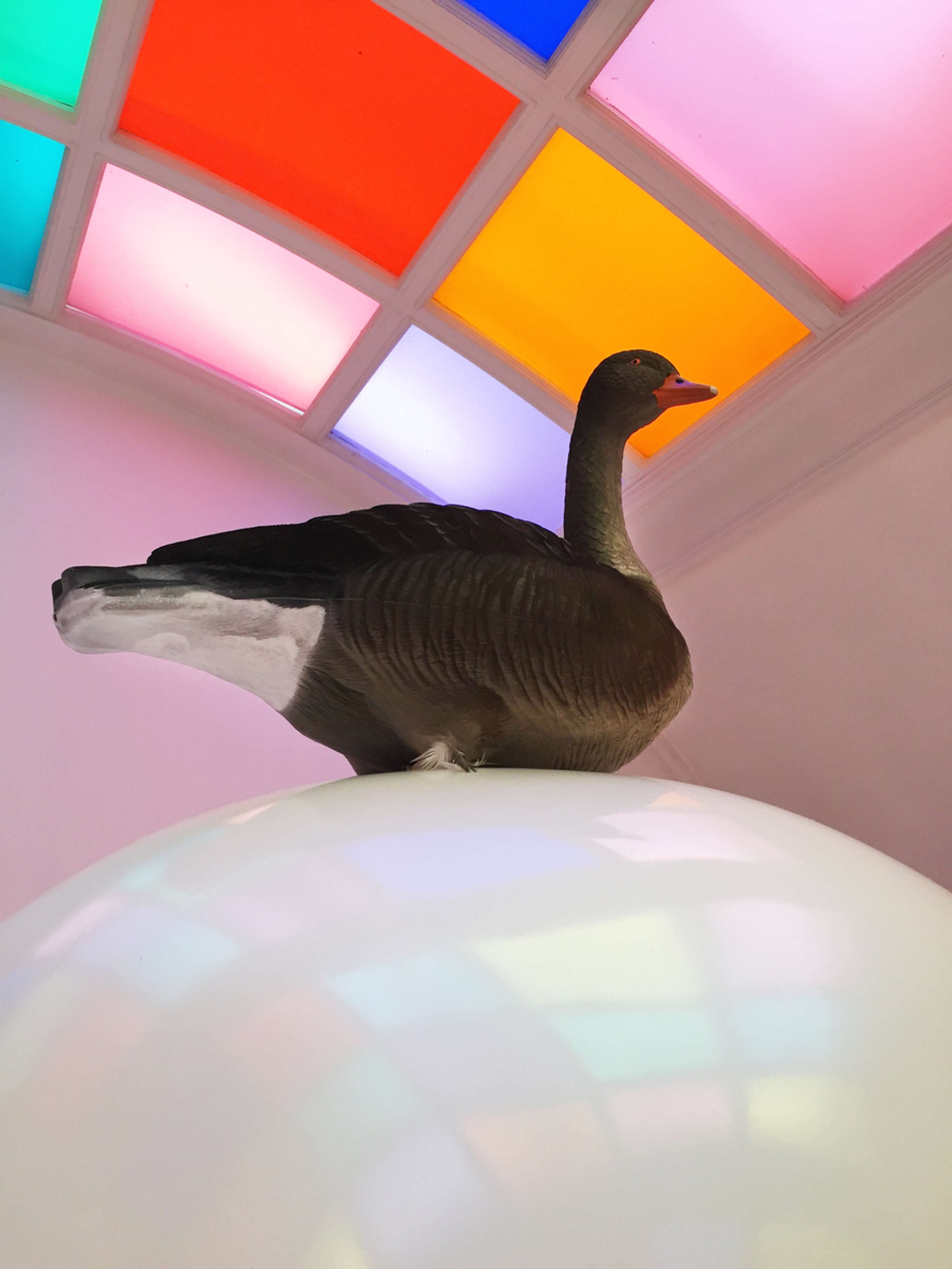 Hatch at Sketch by Plinth Creative