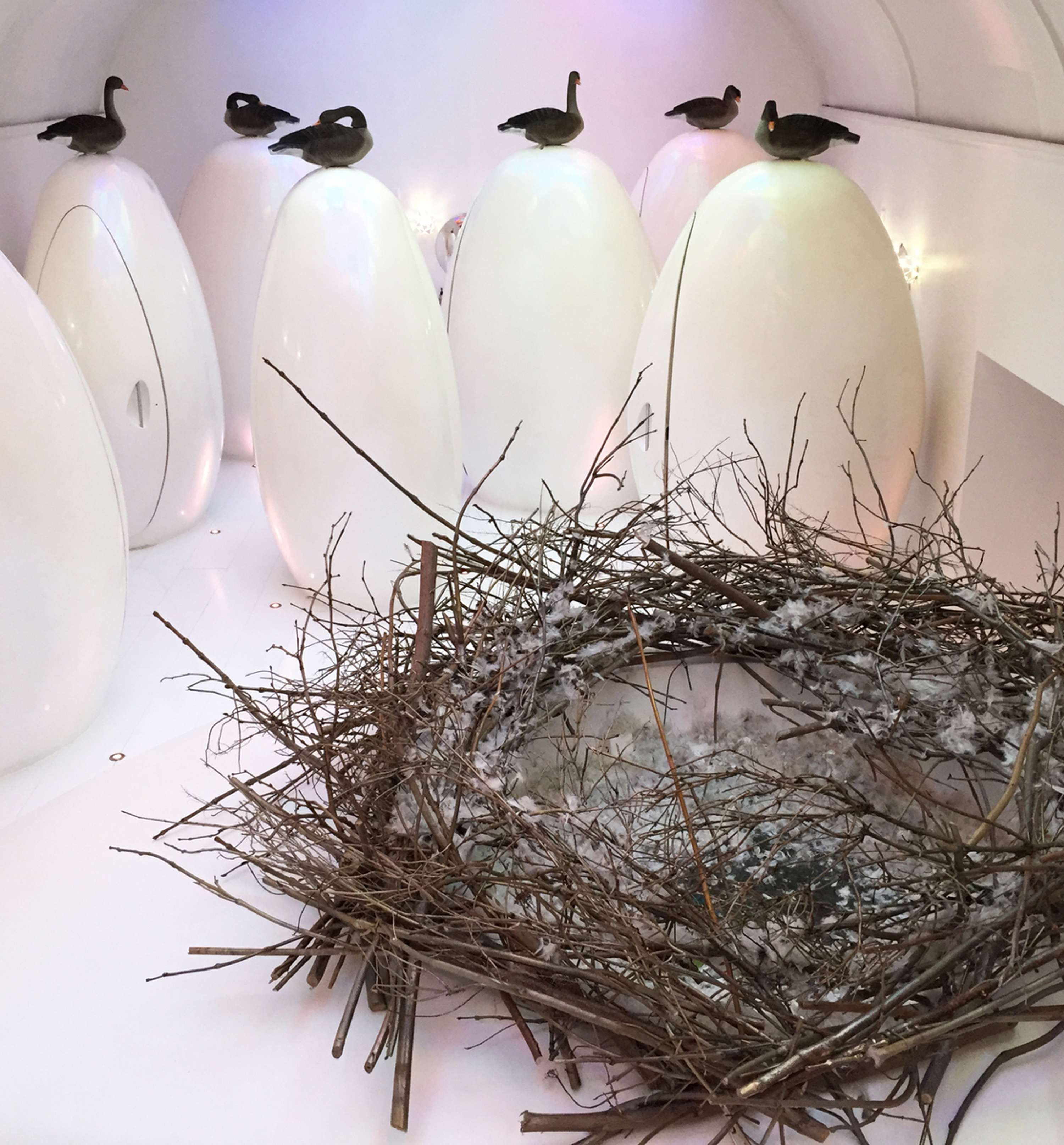 Hatch at Sketch by Plinth Creative