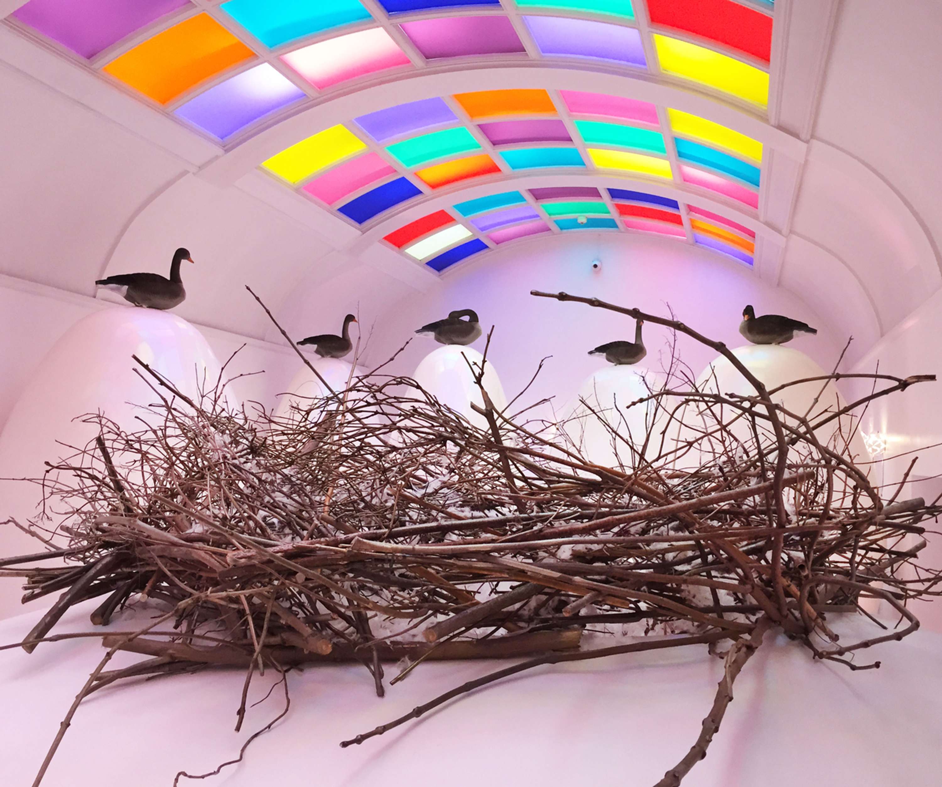 Hatch at Sketch by Plinth Creative