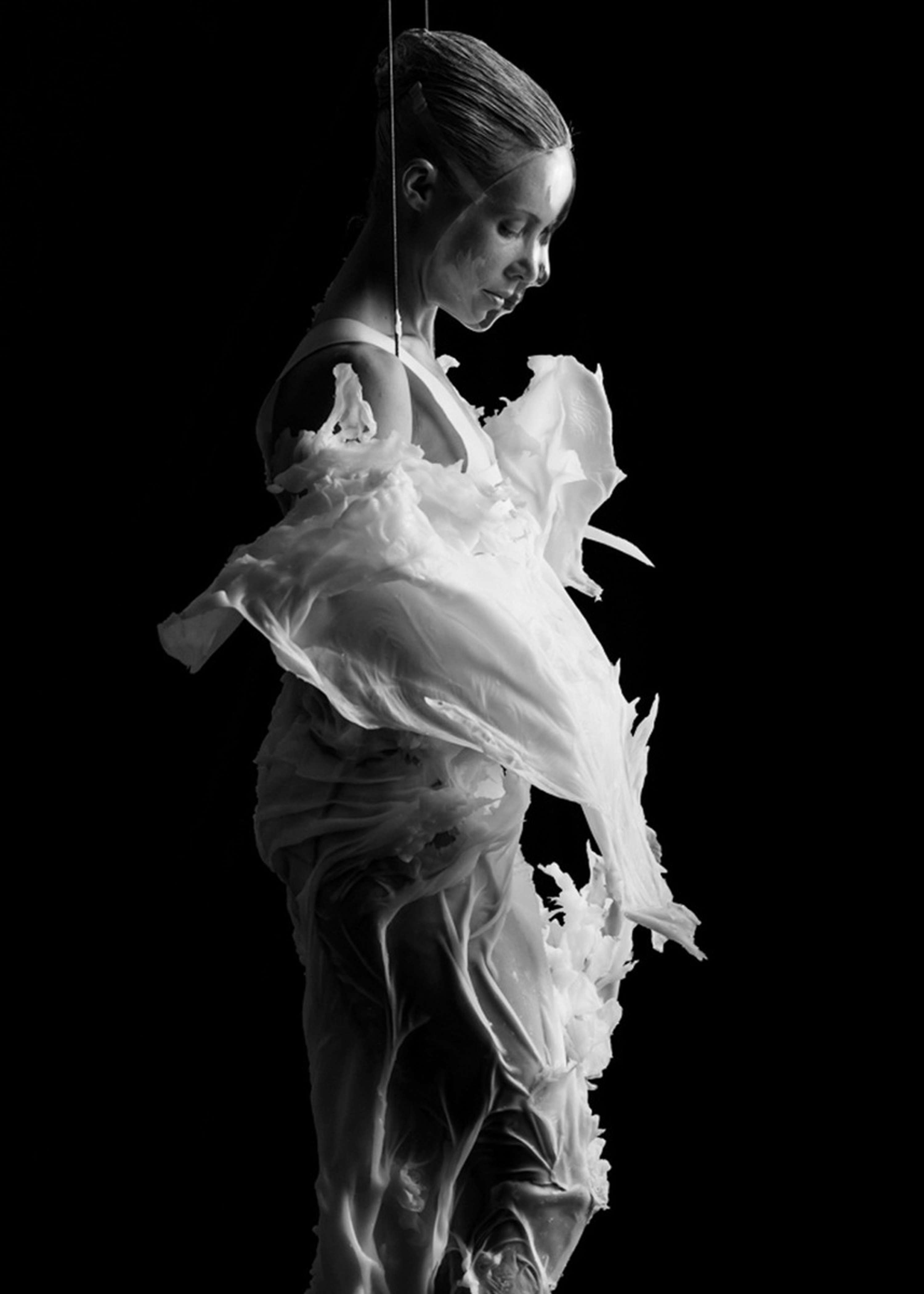 POSTmorphic by Meri Media