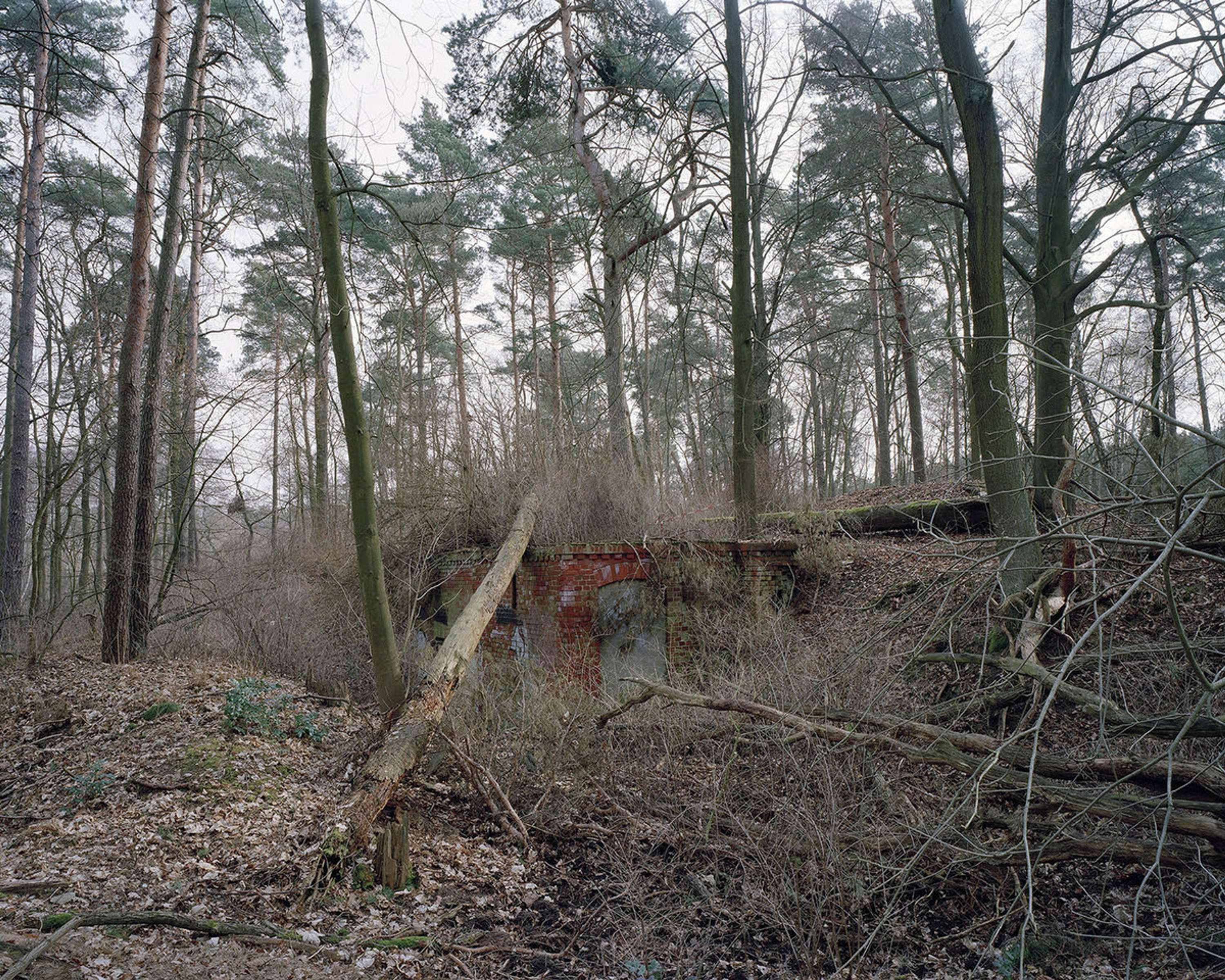 You can't get lost in Berlin by Ross Williams