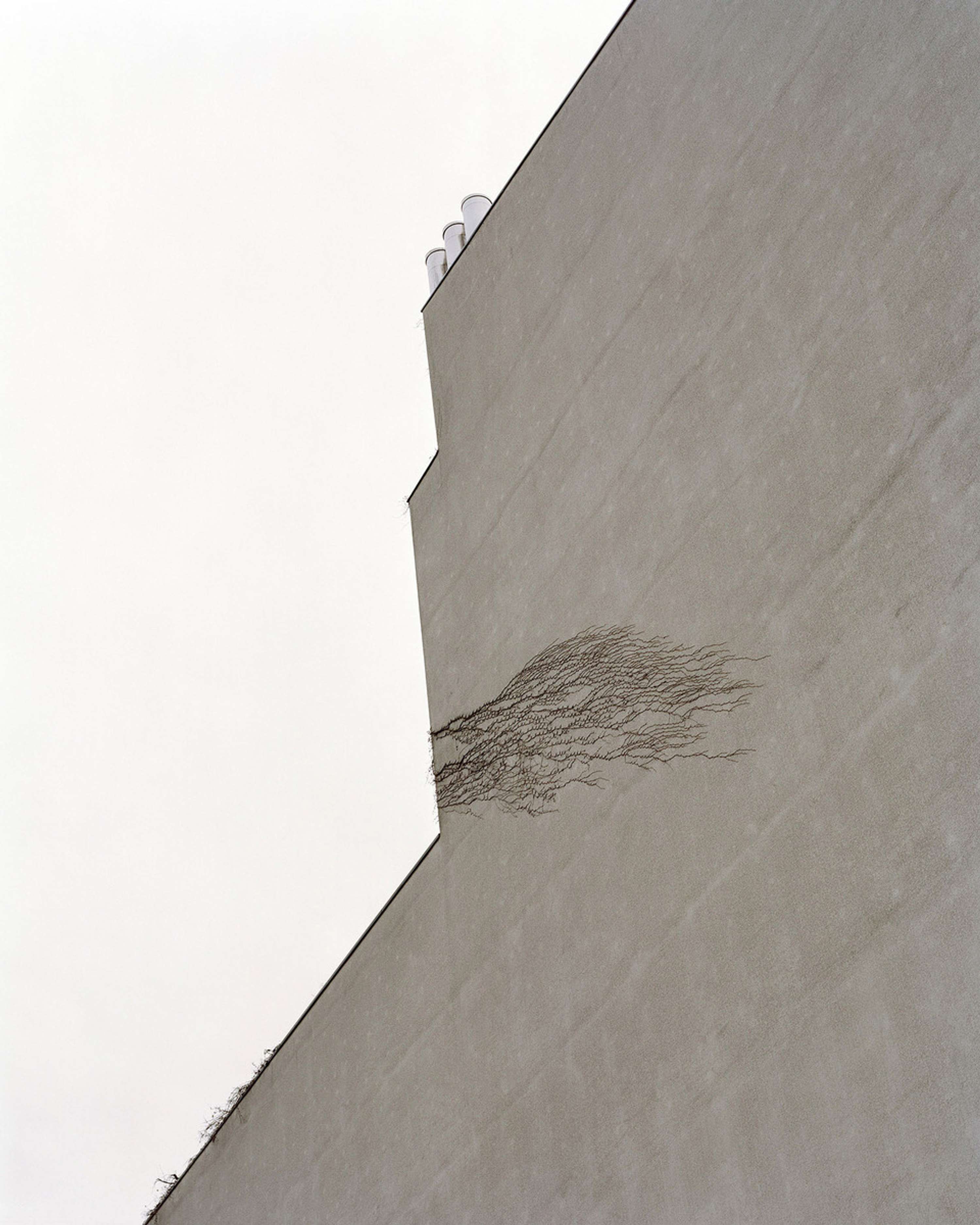 You can't get lost in Berlin by Ross Williams