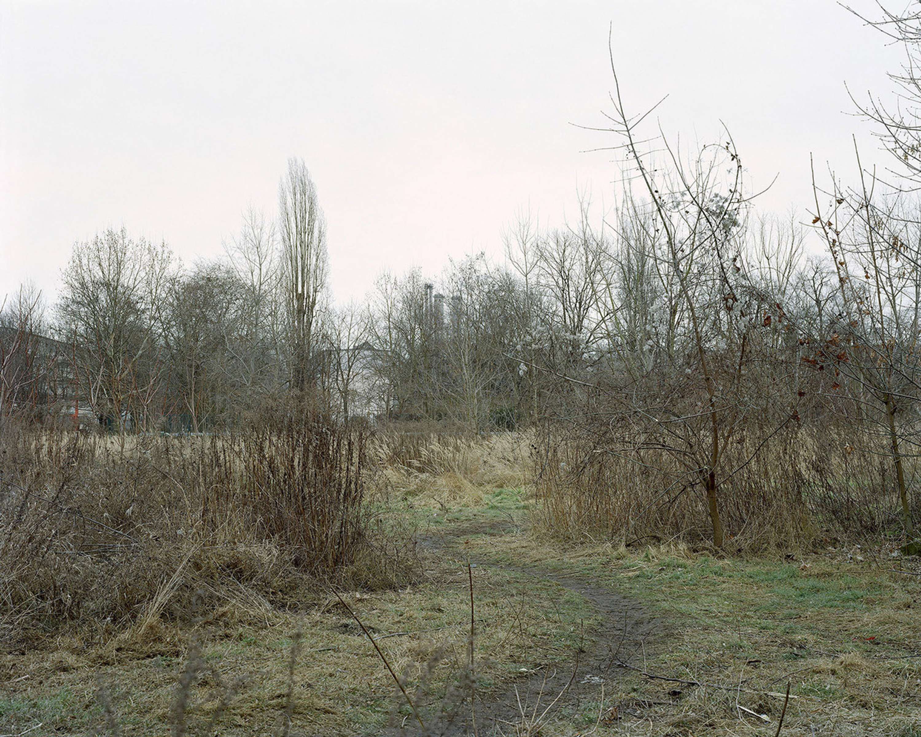 You can't get lost in Berlin by Ross Williams