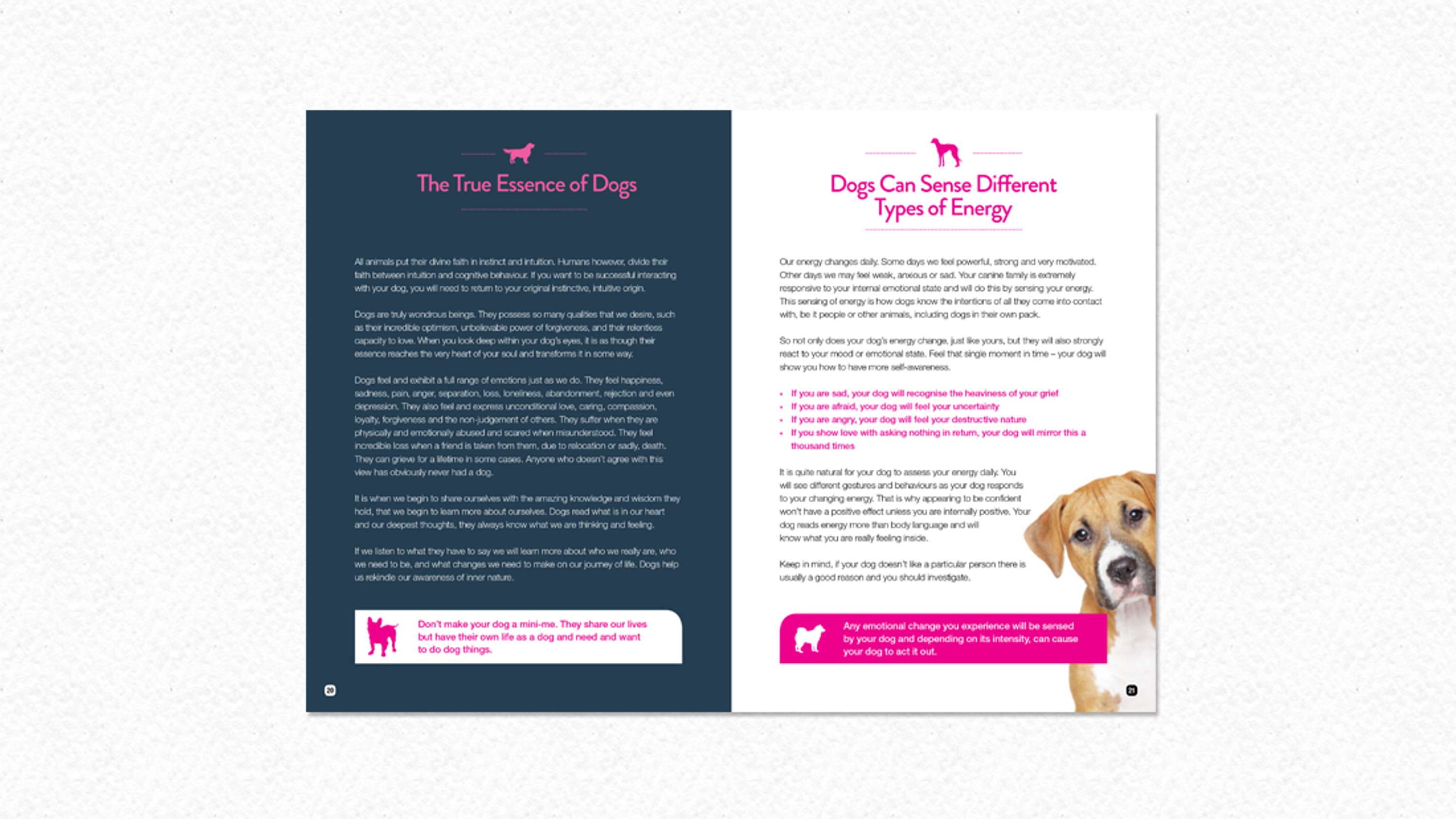 Book design and layout by Lucie Carpentier