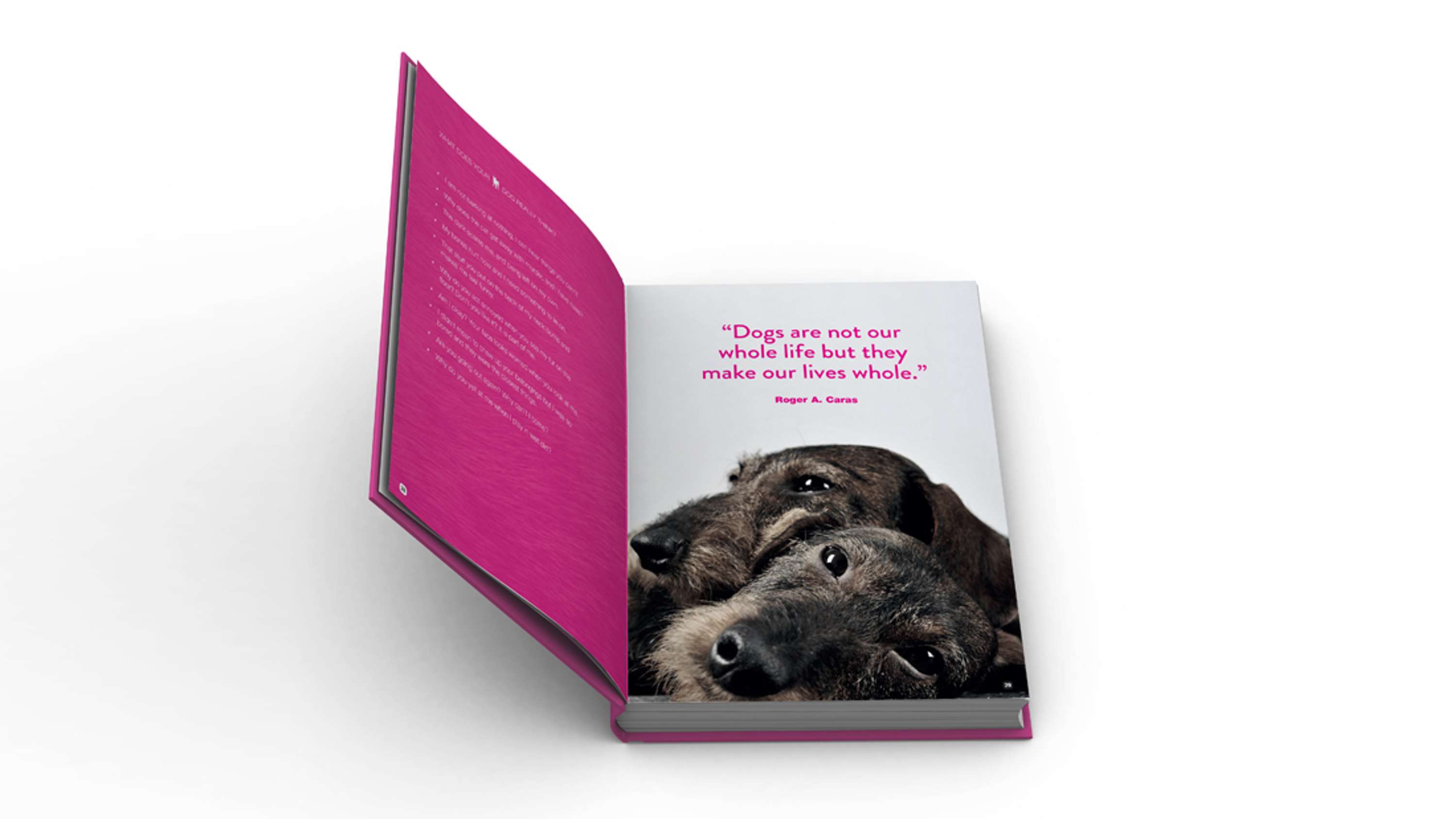 Book design and layout by Lucie Carpentier