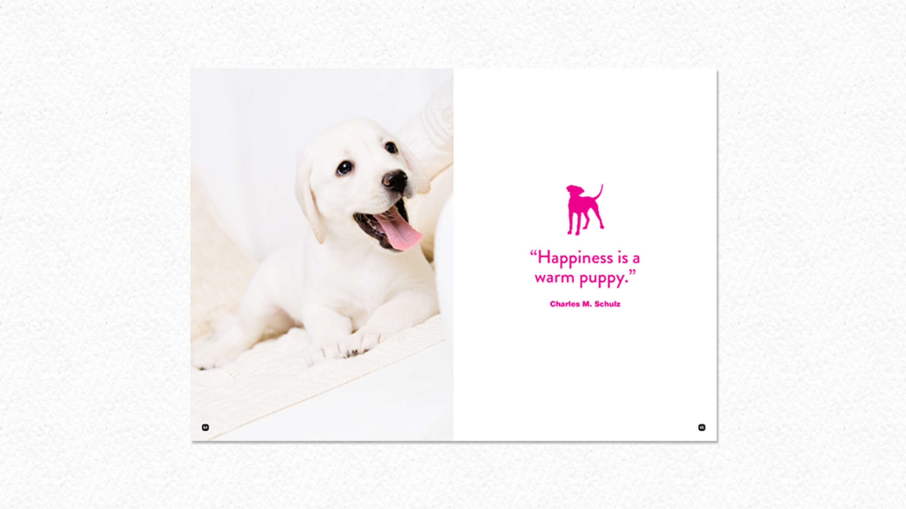 Book design and layout by Lucie Carpentier