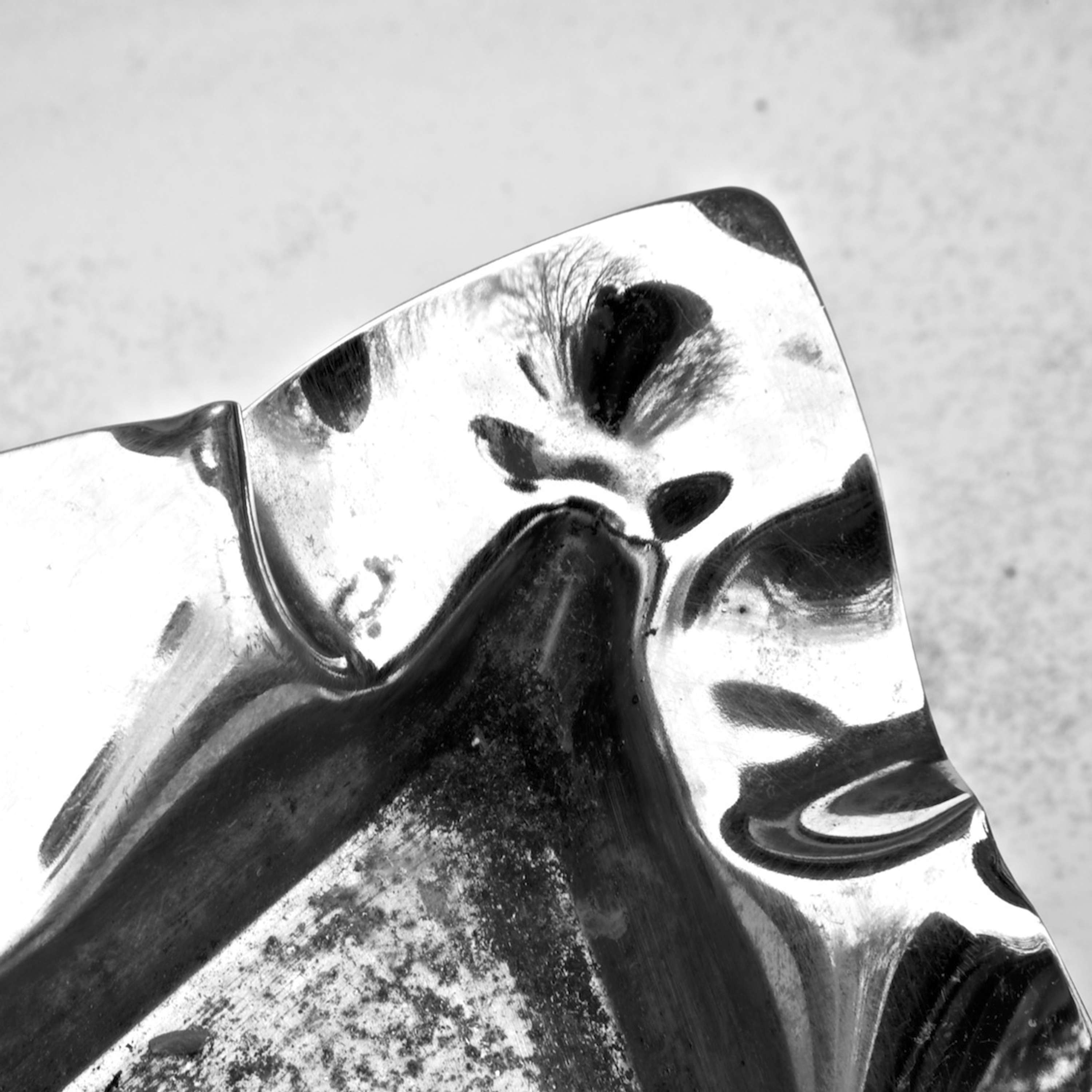 Reality of Abstraction by Dorota Beau-Ingle