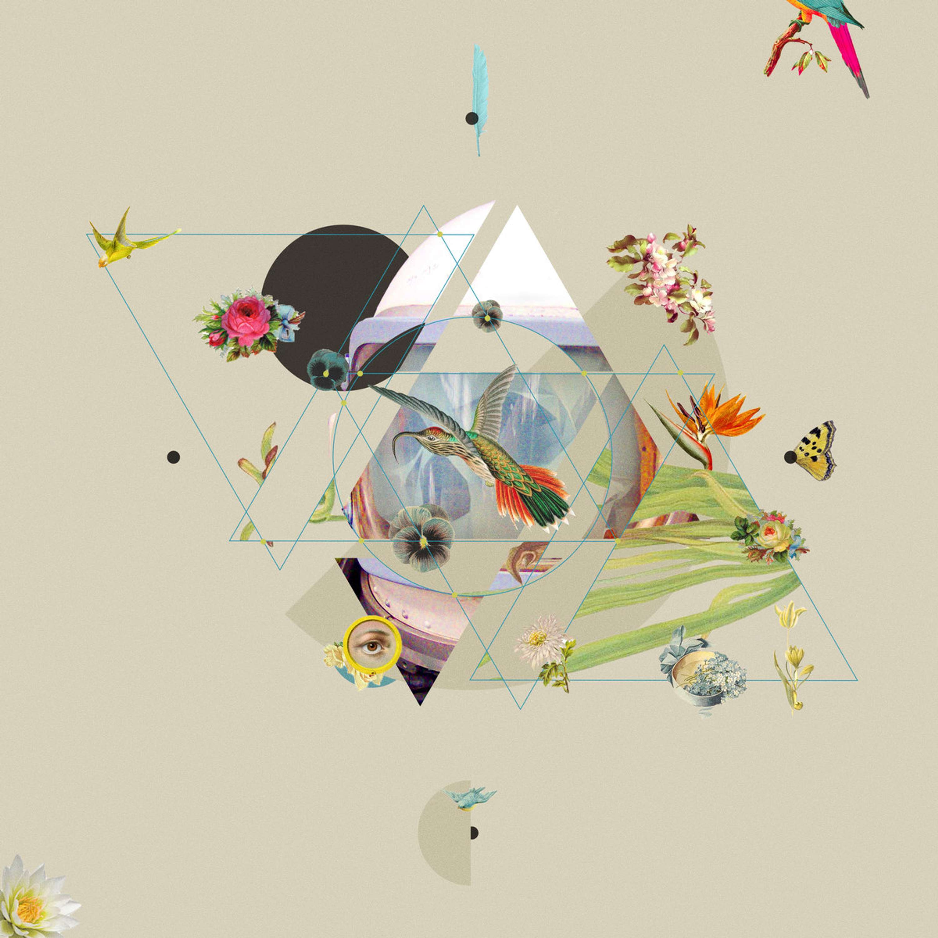 ASSEMBLAGE COLLAGES by Adam Robert Martin