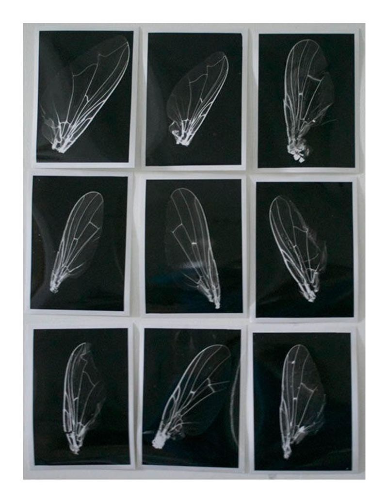 Population by Ruairi Allen