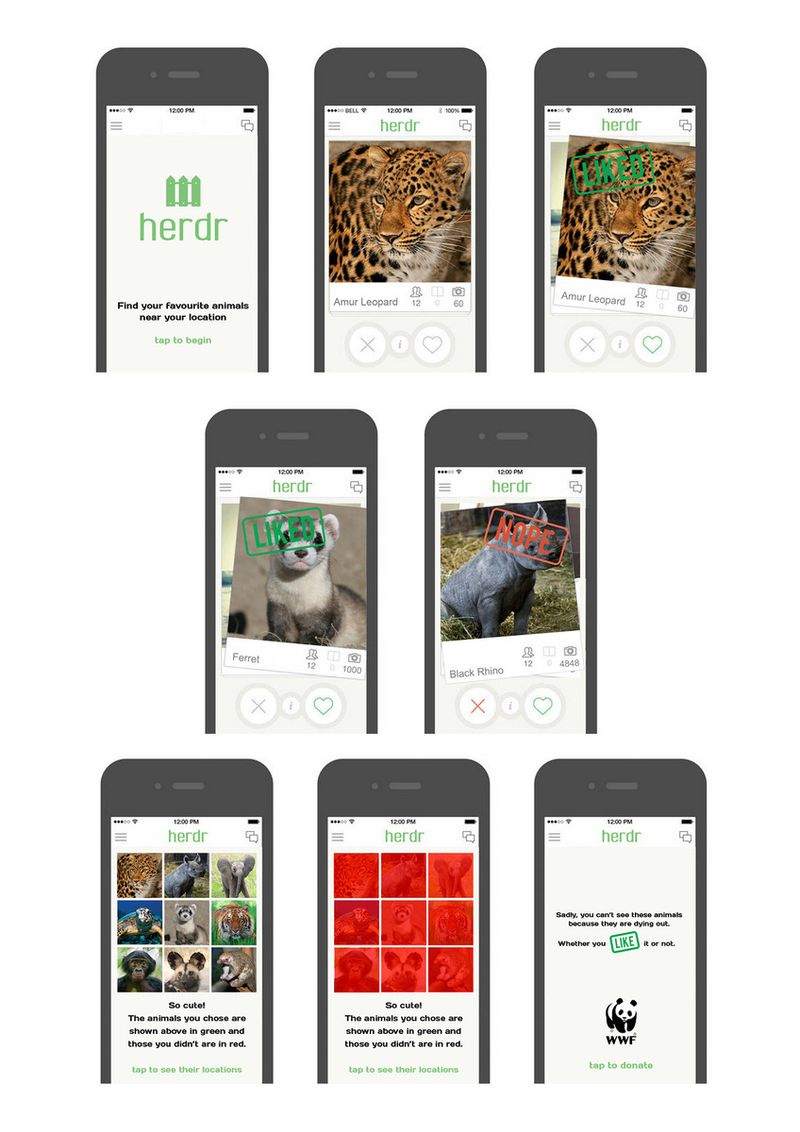 WWF App by David Dibbs Evans