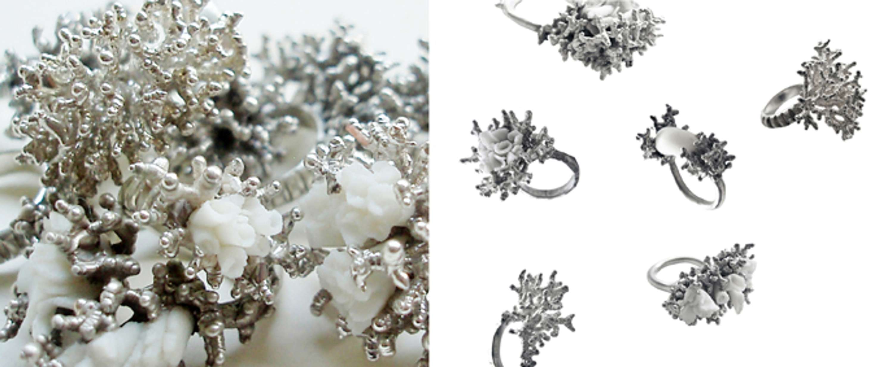 White Collection by Mirka Janeckova