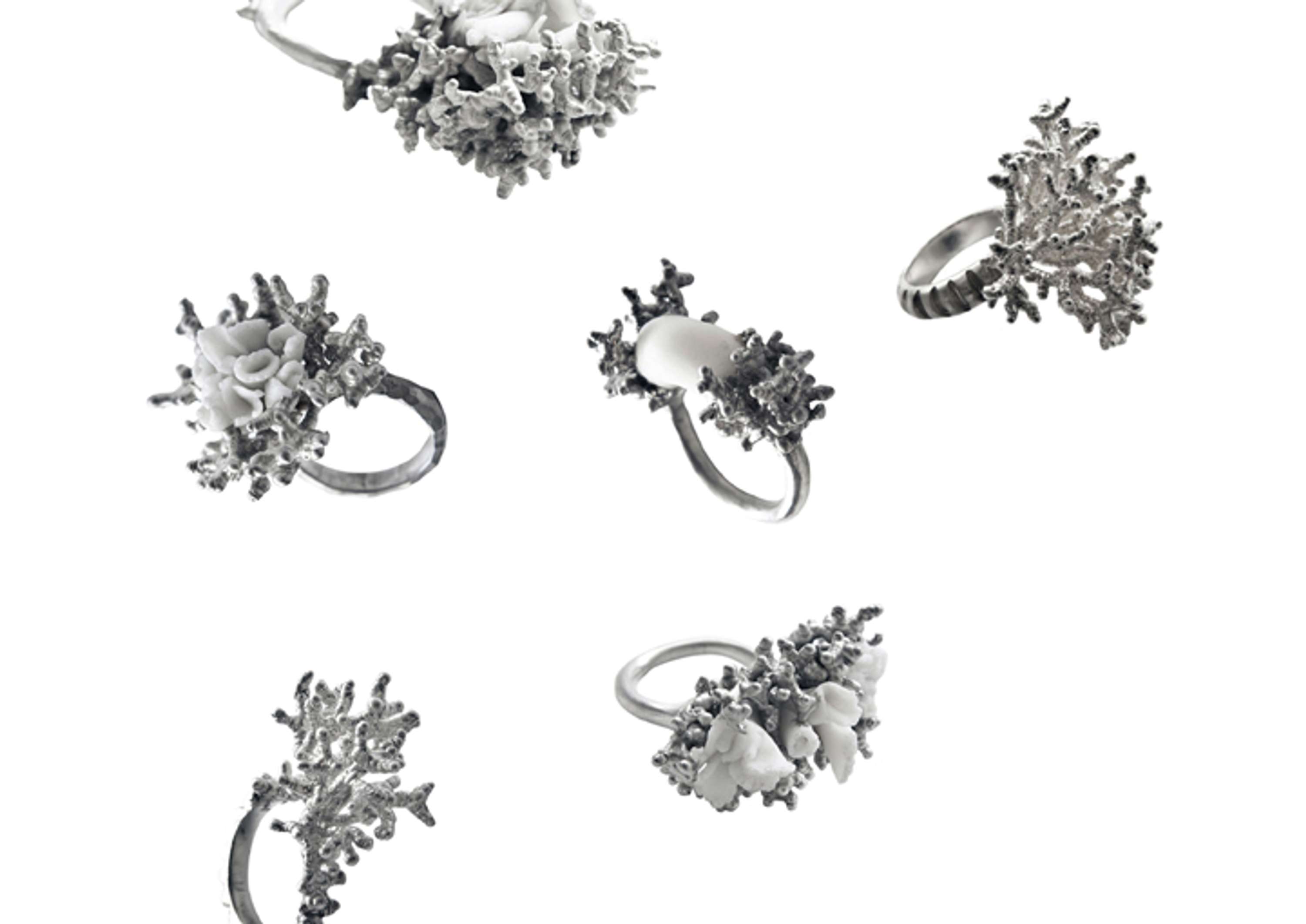 White Collection by Mirka Janeckova