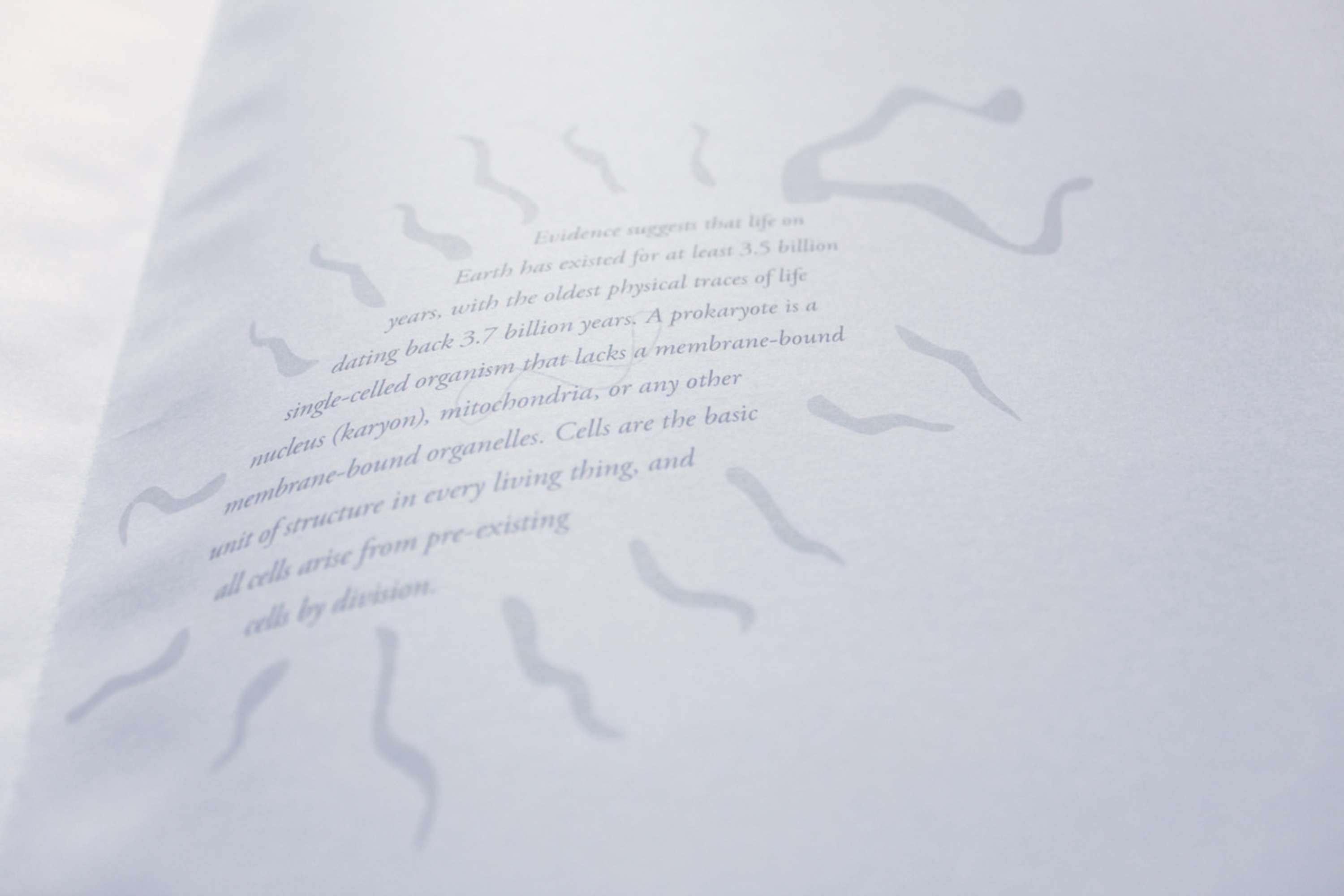 ISTD 2015 by Nimisha Patil