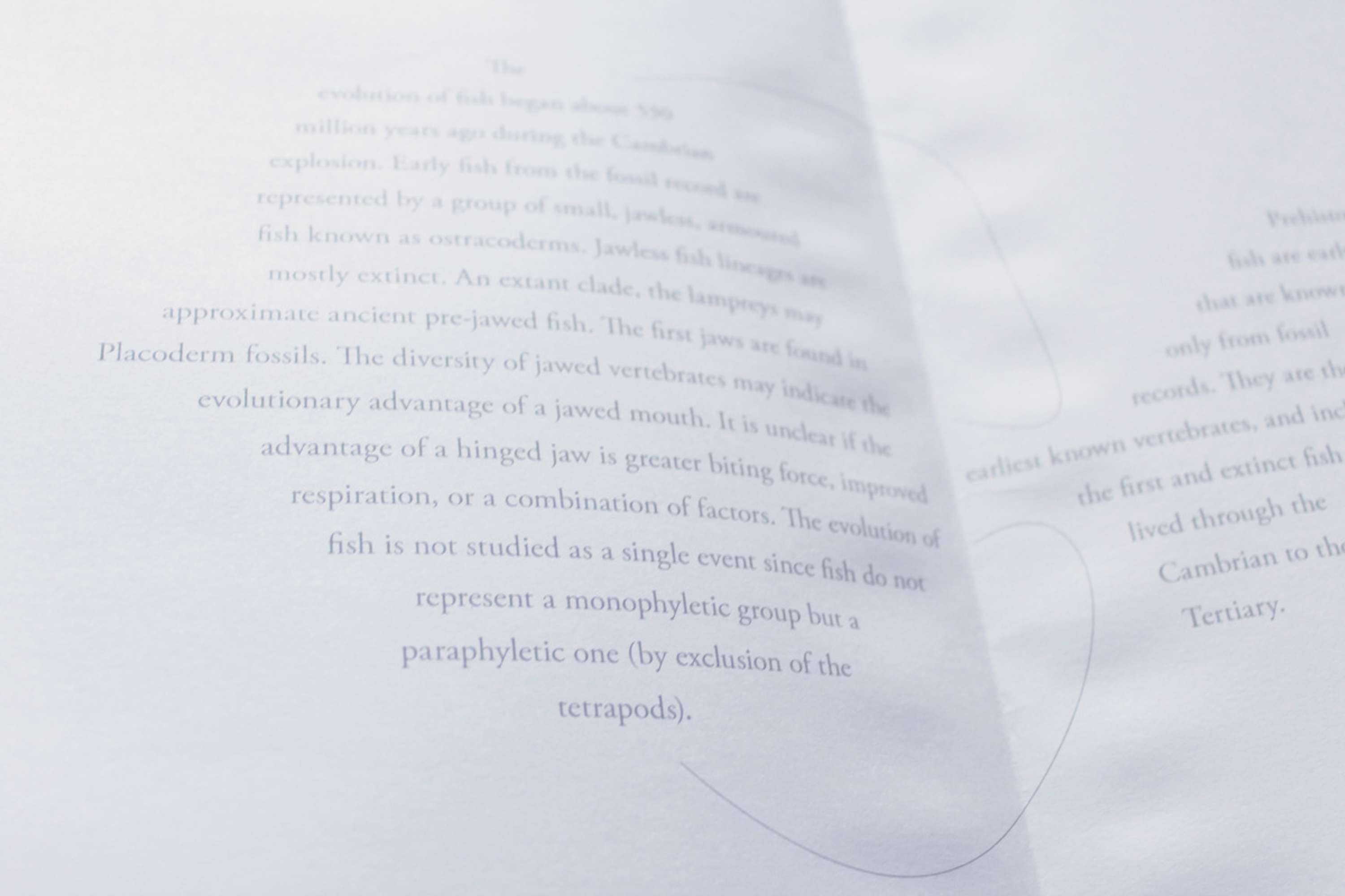 ISTD 2015 by Nimisha Patil