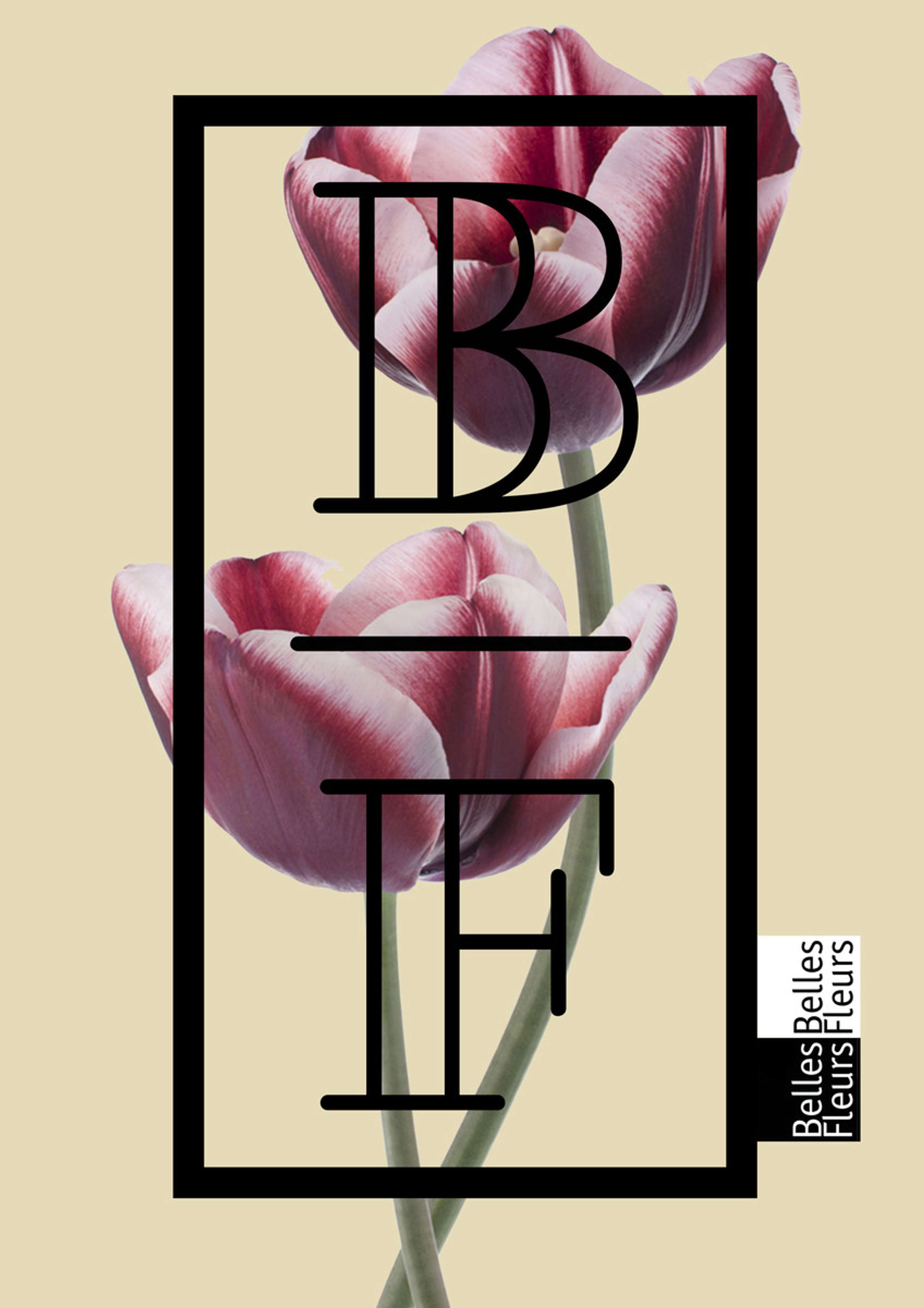 Belles Fleurs by Eva Piskova