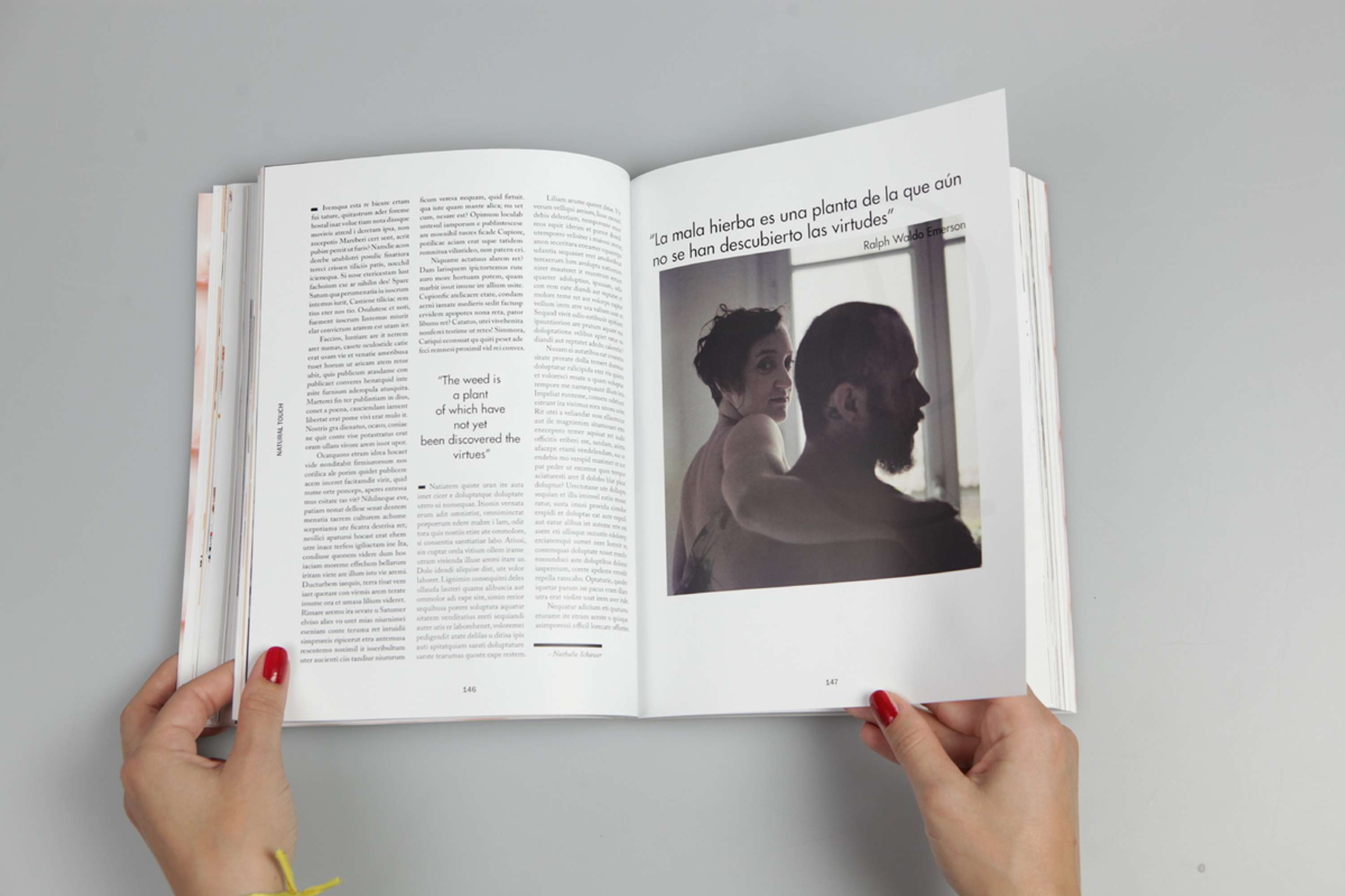 Cream - this is not a cookbook - by Gaia Scaduto Cillari