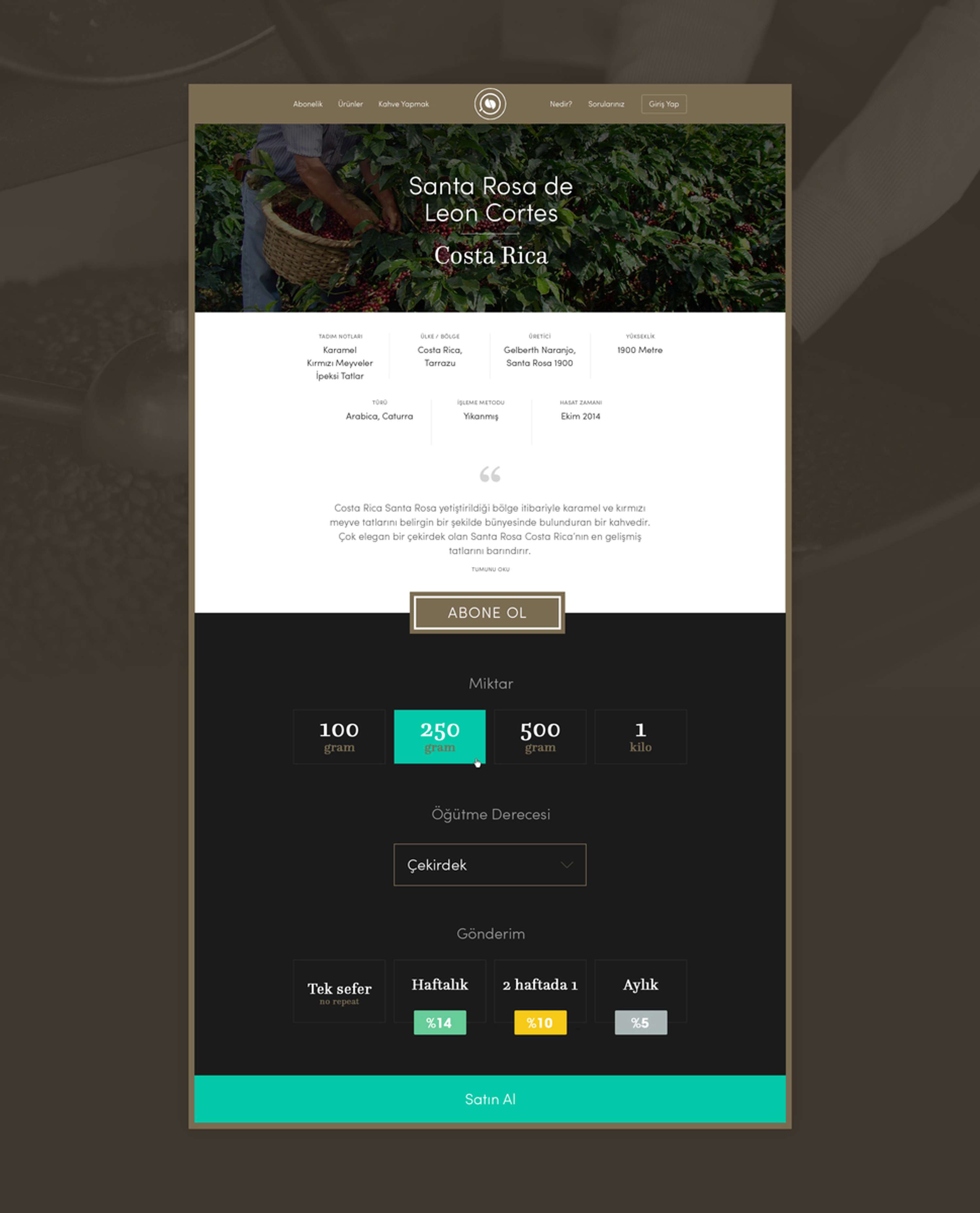 Coffee Department by Metin Saray