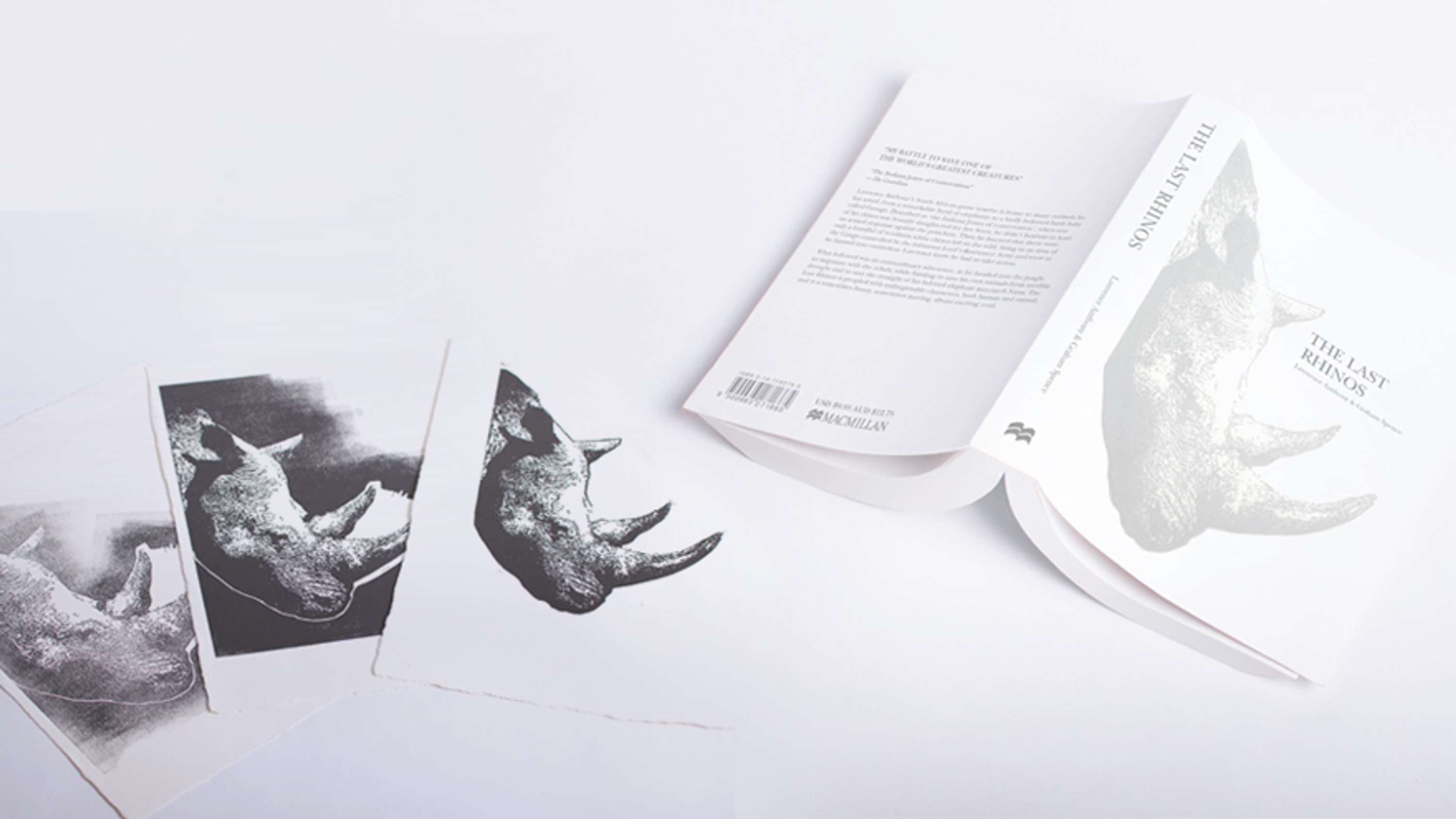 Student Work by Shillington