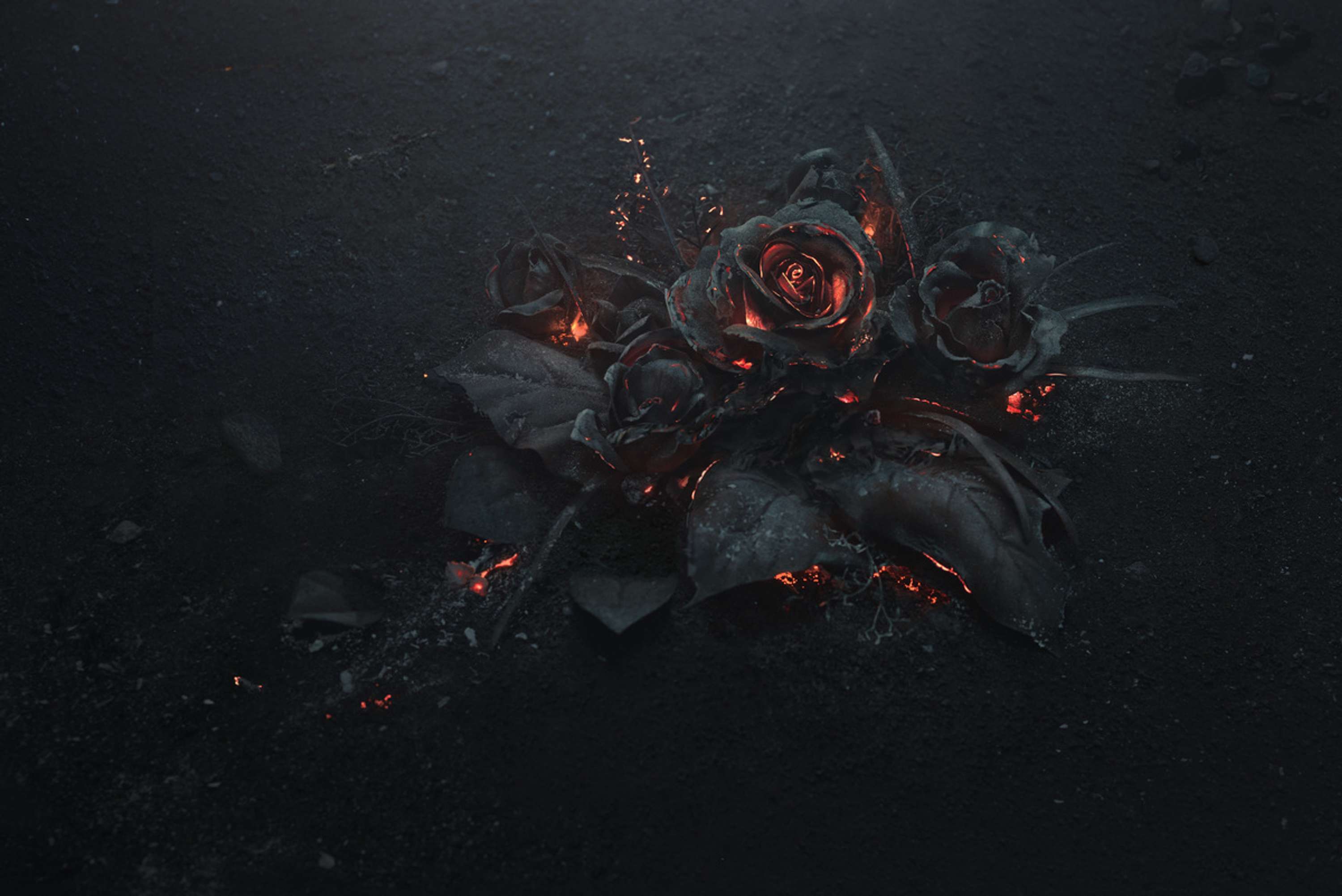 The Ash by Ars Thanea