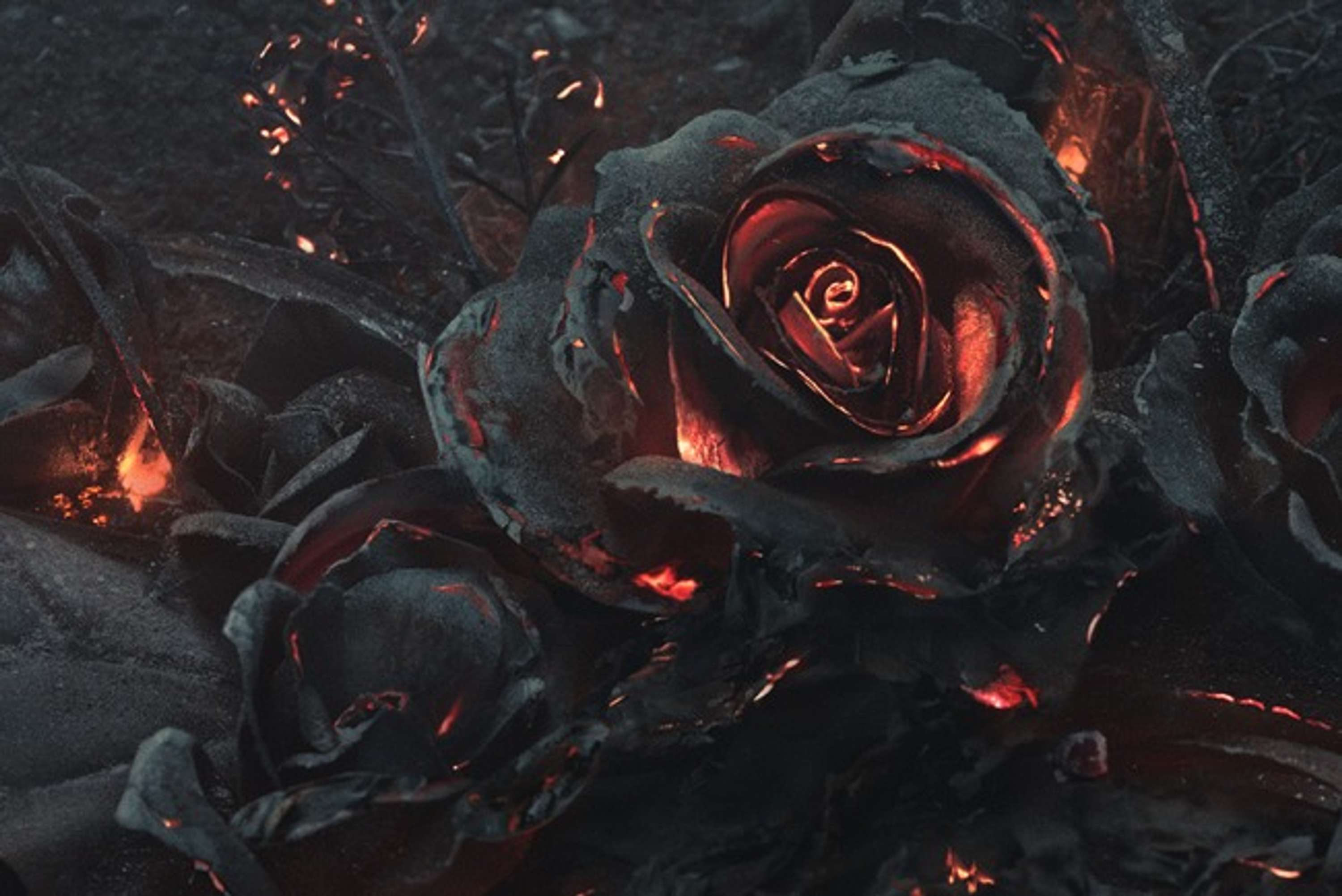 The Ash by Ars Thanea