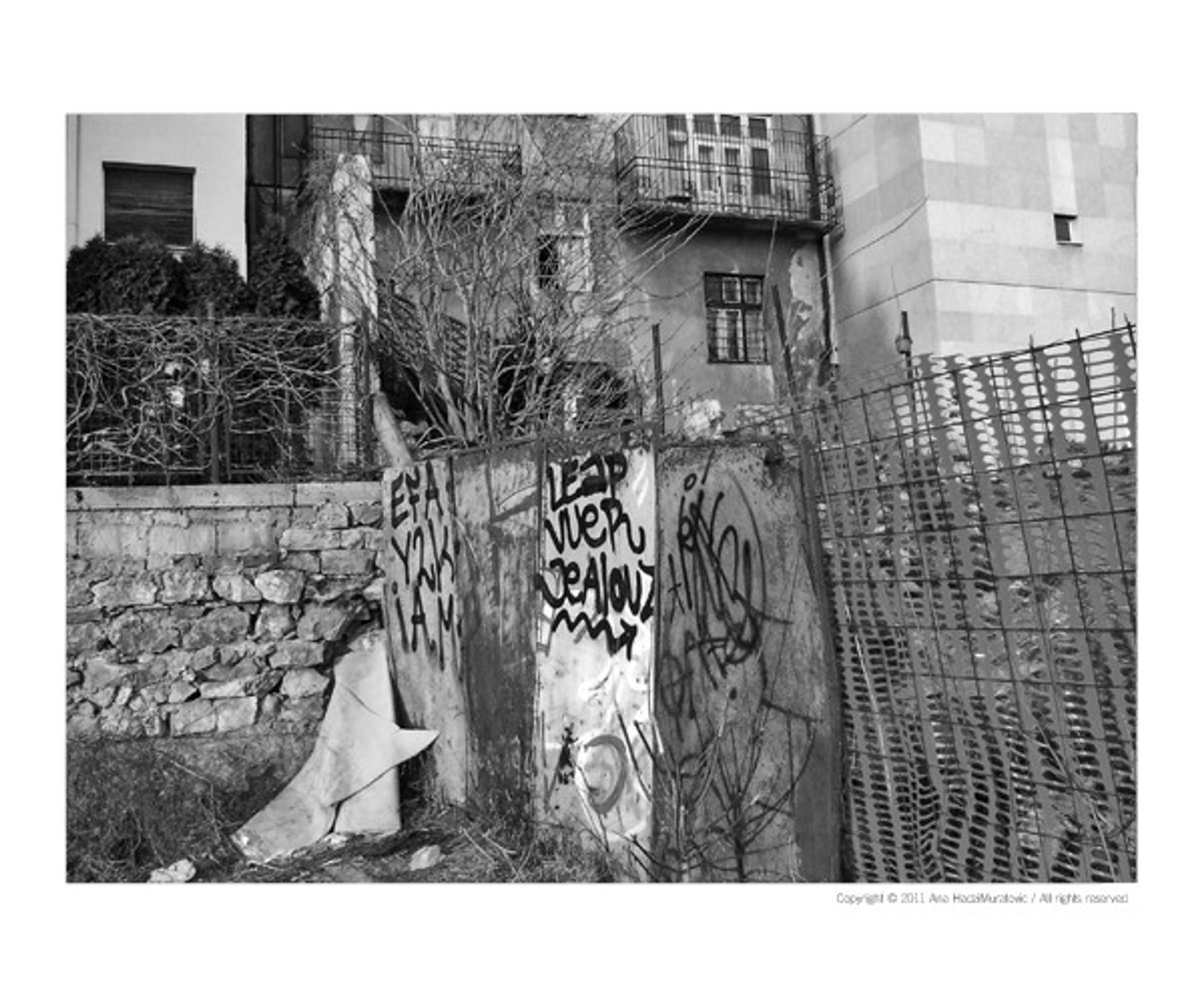 Creative by Ana HadziMuratovic