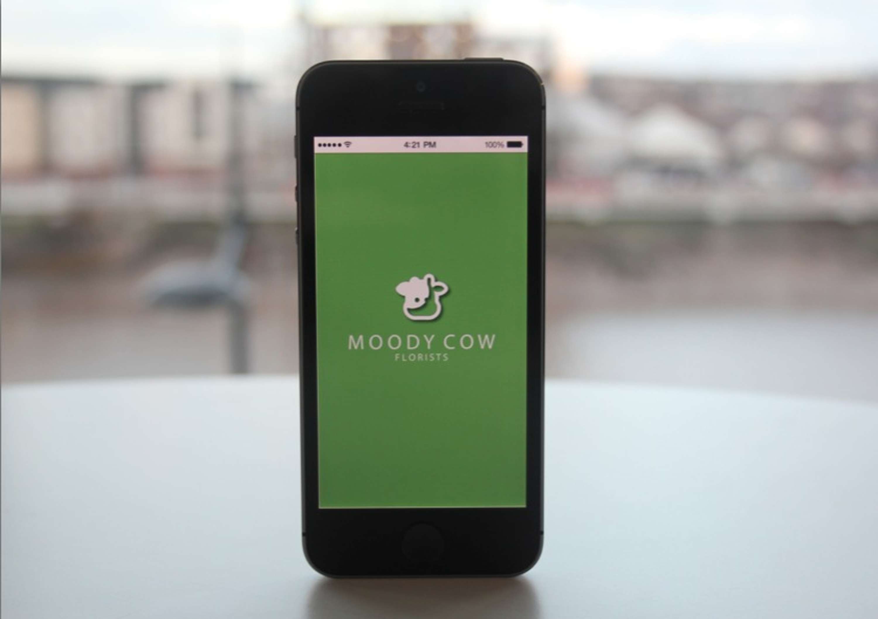 INTERACTIVE  APPLICATION by Tamsin Hilton