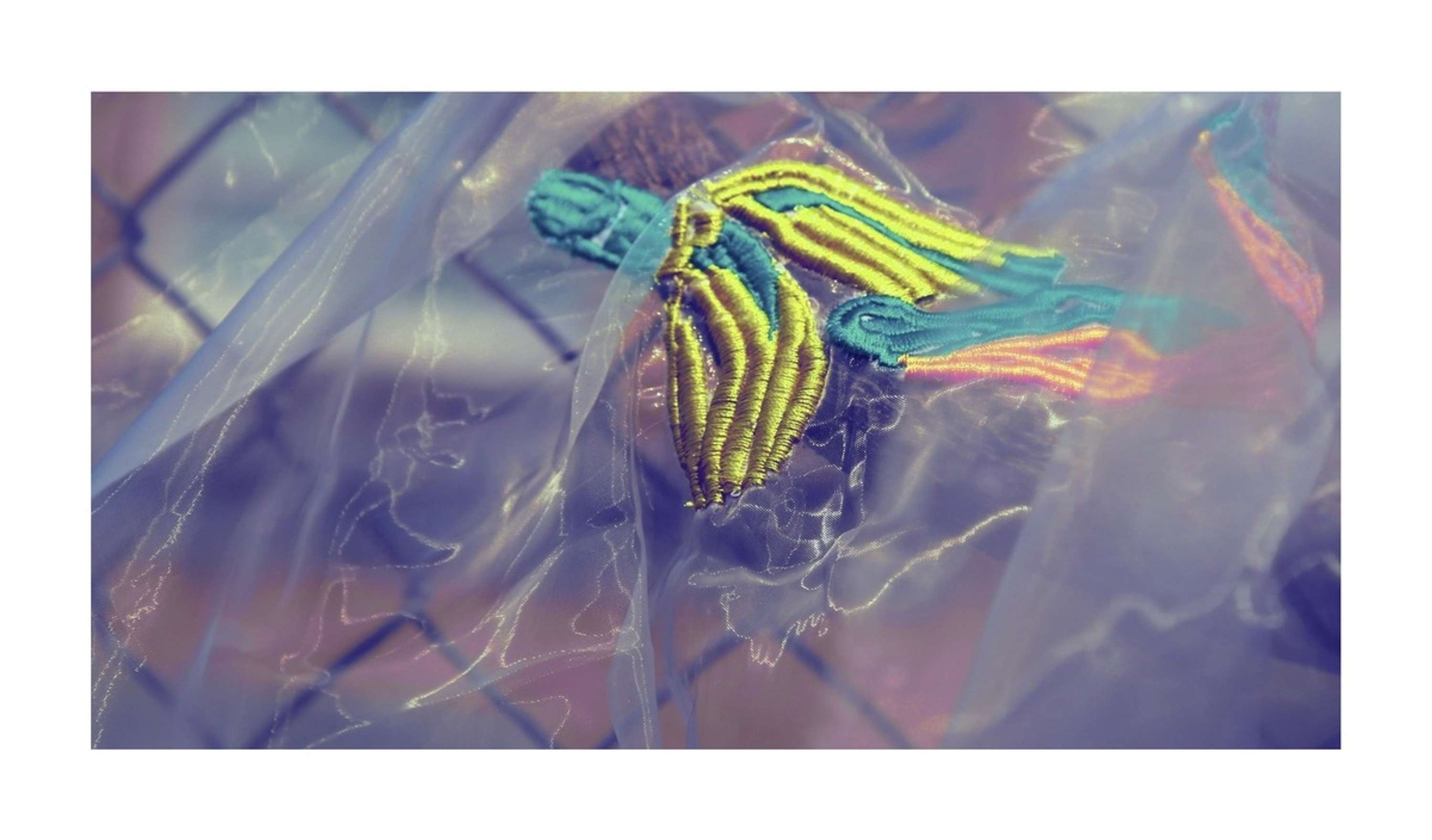 Final Major Project - TRAPPED by Umme Salma