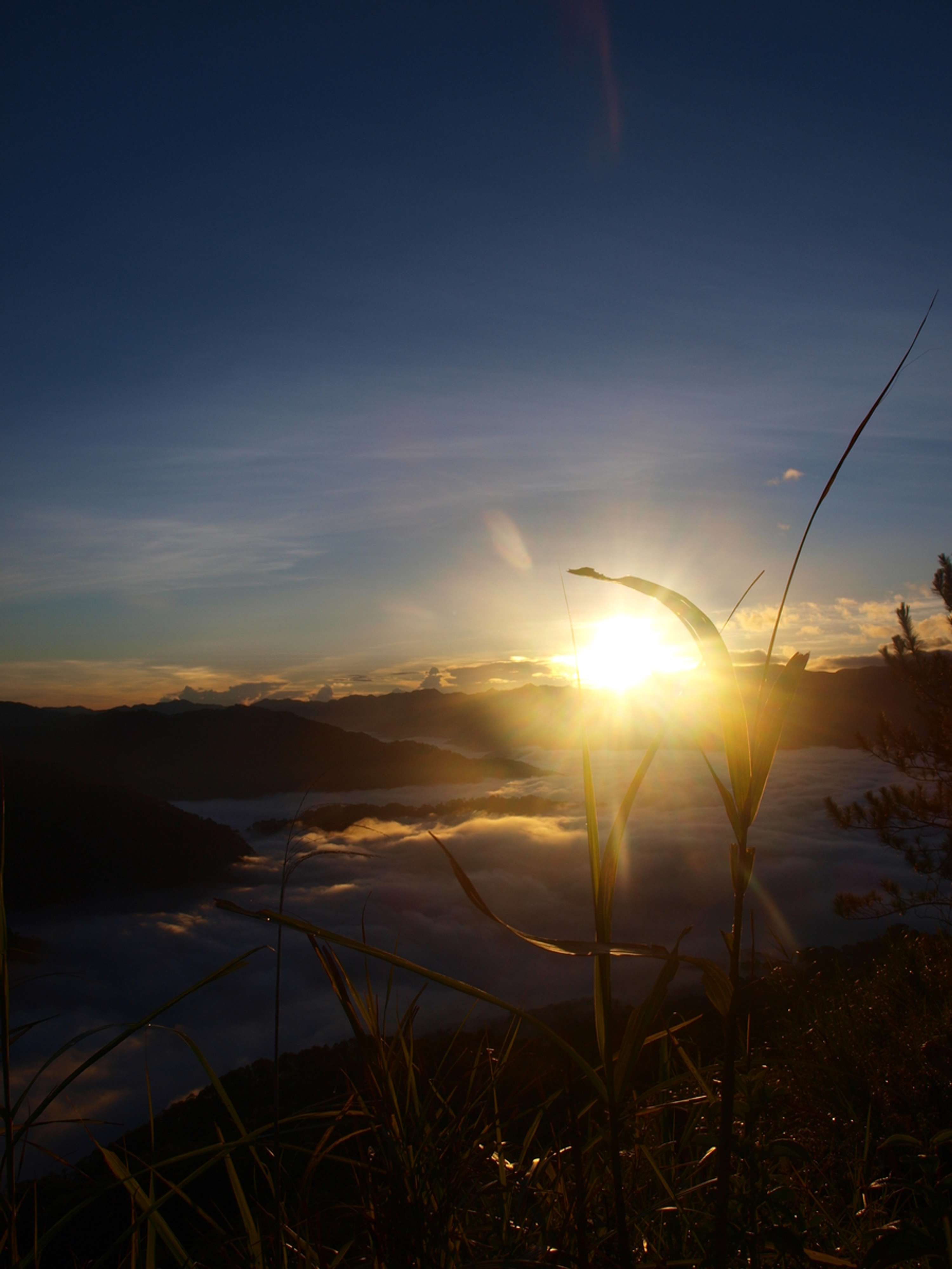 SAGADA by Katrina Doloricon