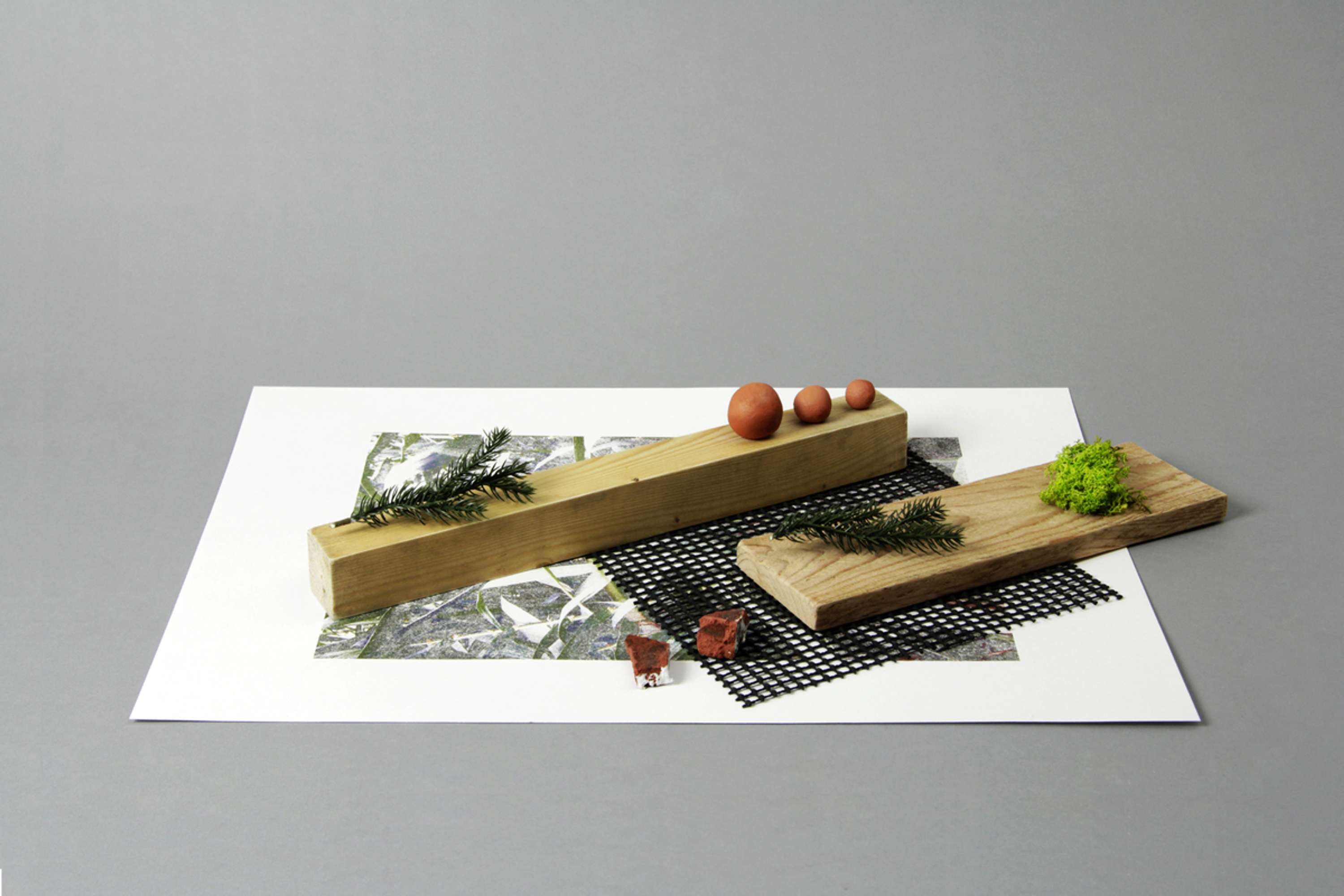London Zoo Project by Nathan Taylor