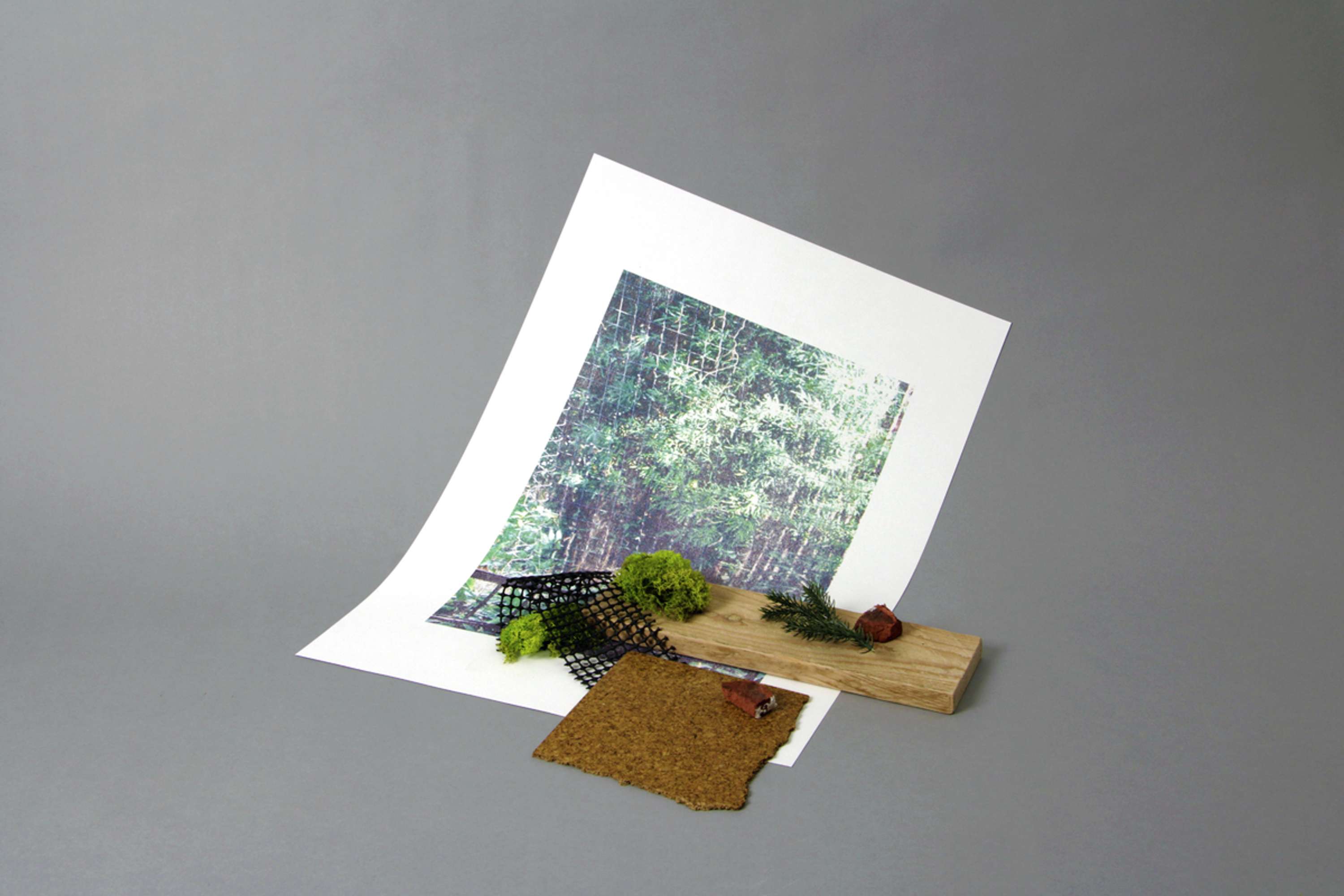 London Zoo Project by Nathan Taylor