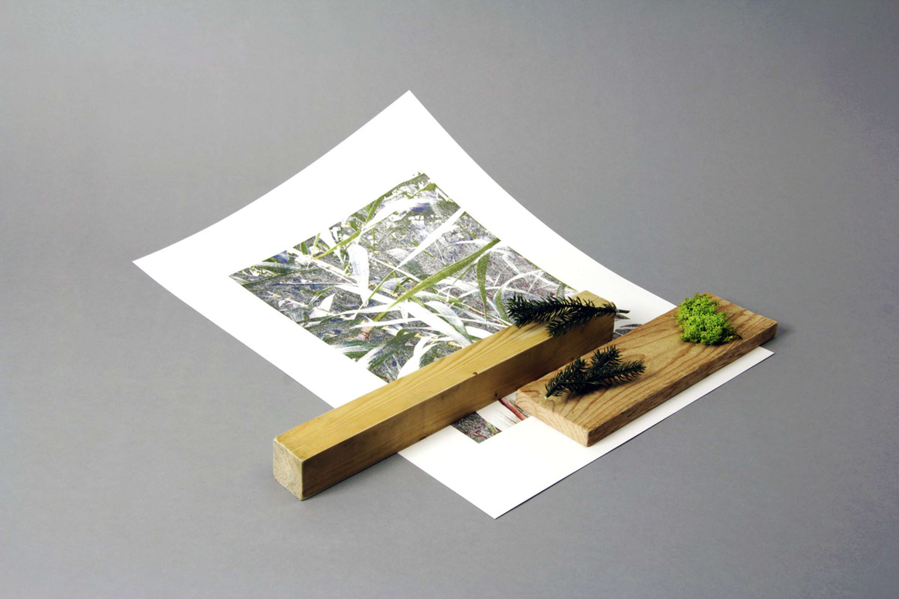 London Zoo Project by Nathan Taylor