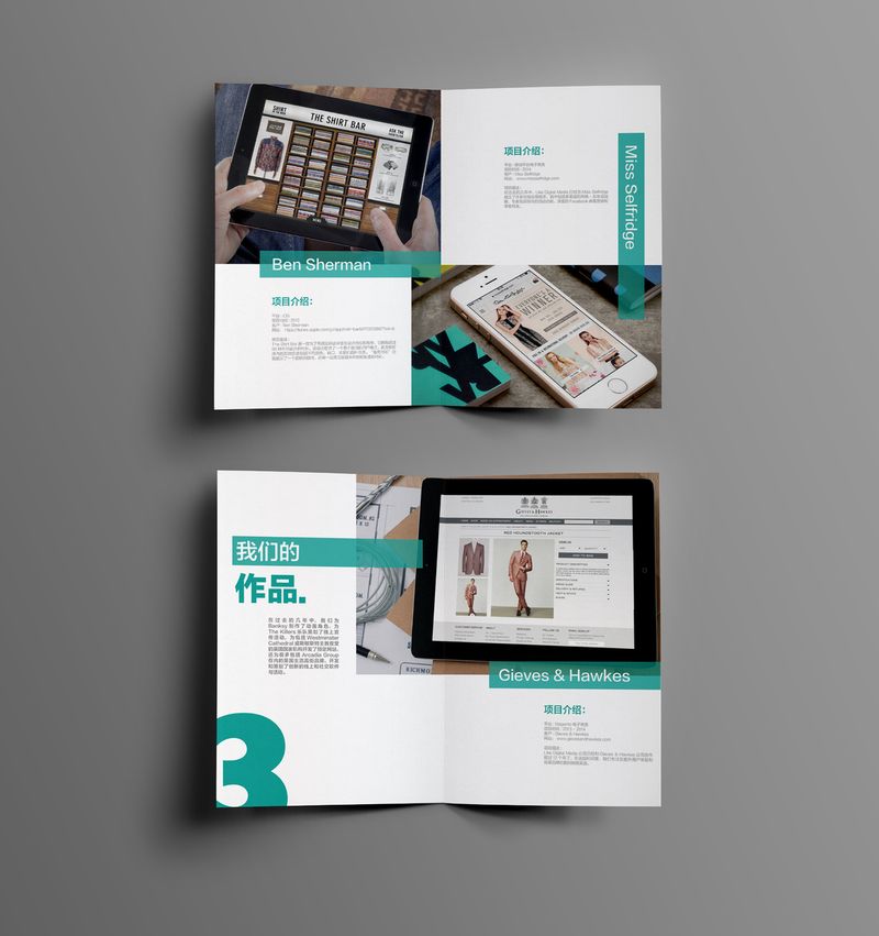 LDM Brochure by Zixi Zhu